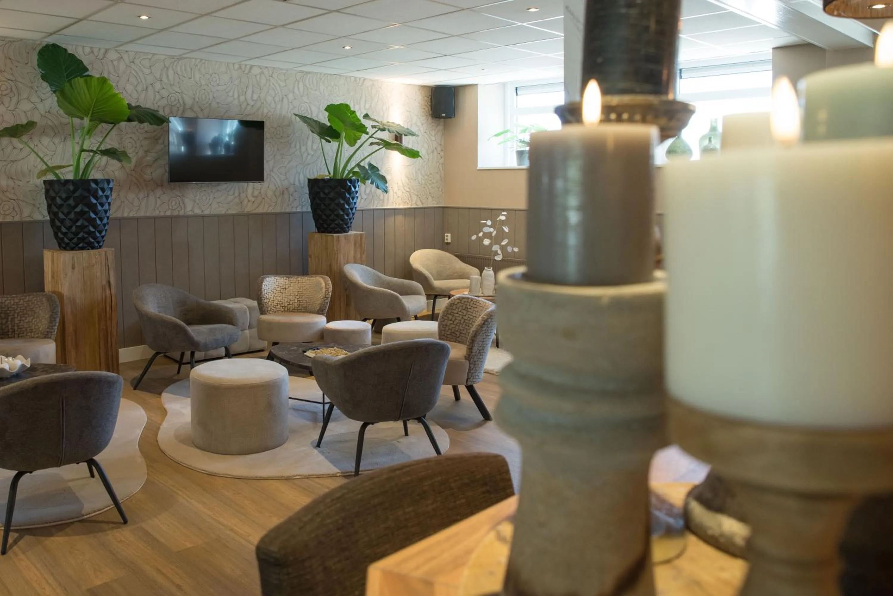 TV and multimedia in The BLOOM