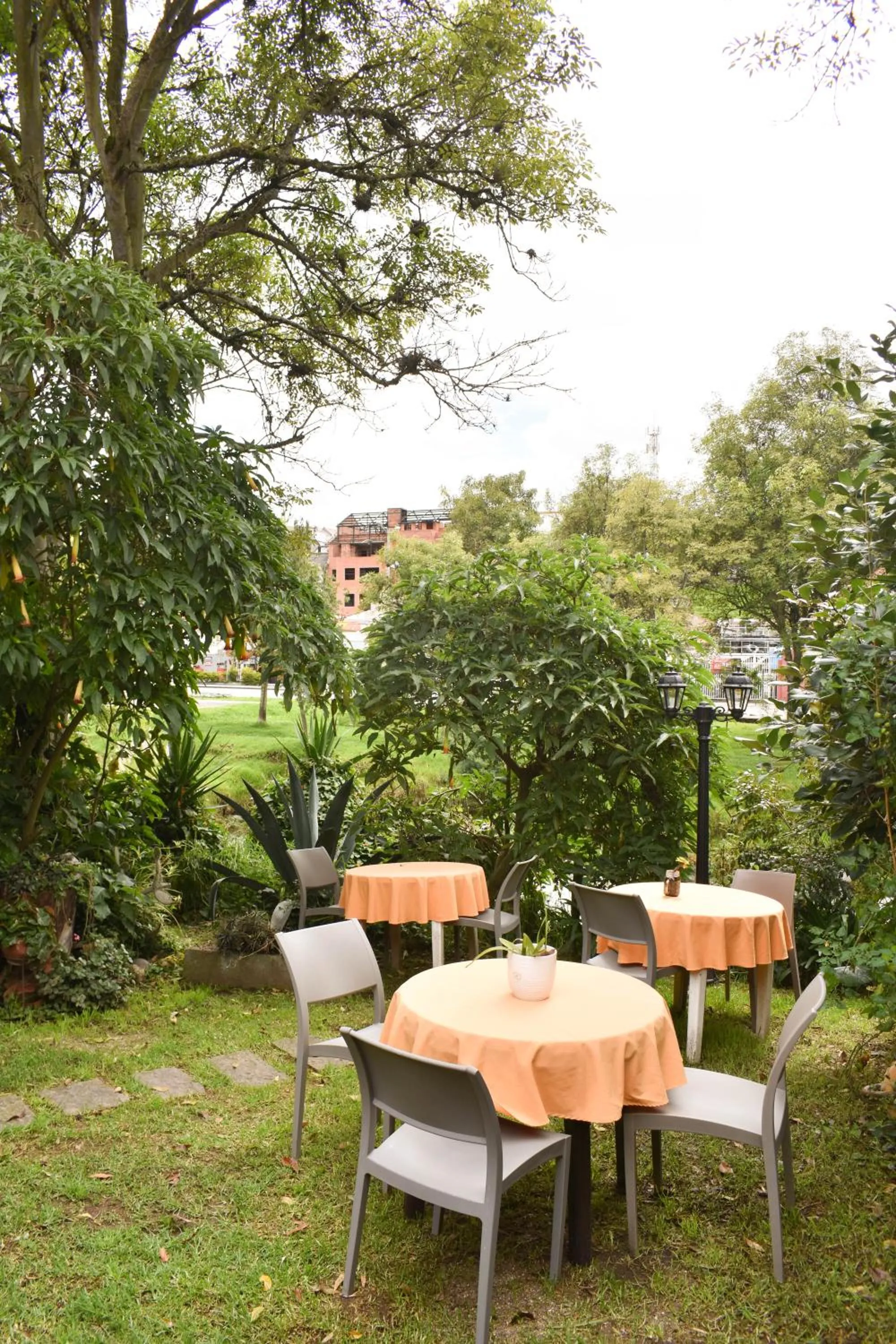 View (from property/room) in Apartamentos Otorongo Cuenca Ecuador