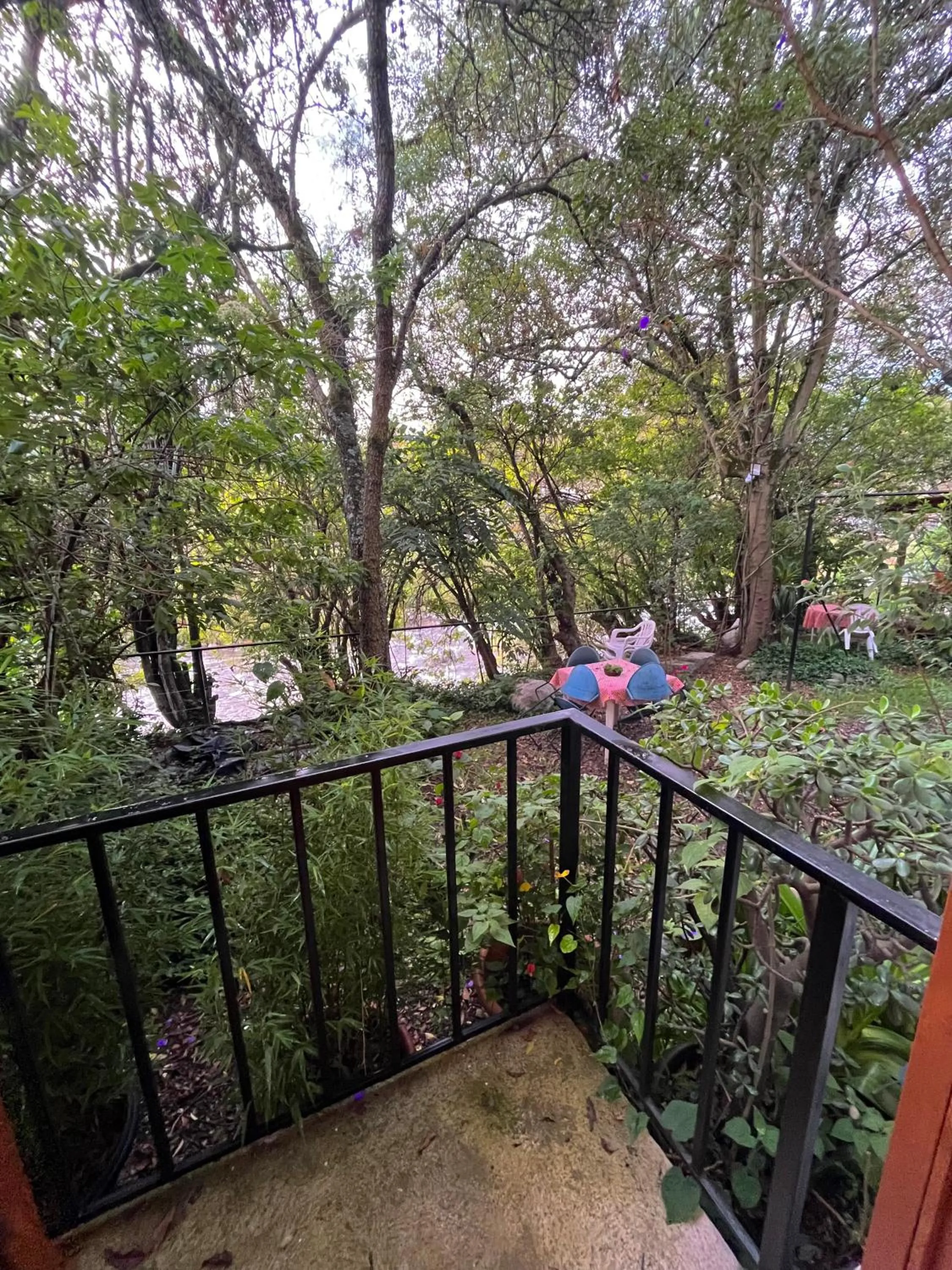 Balcony/Terrace in Apartamentos Otorongo Cuenca Ecuador