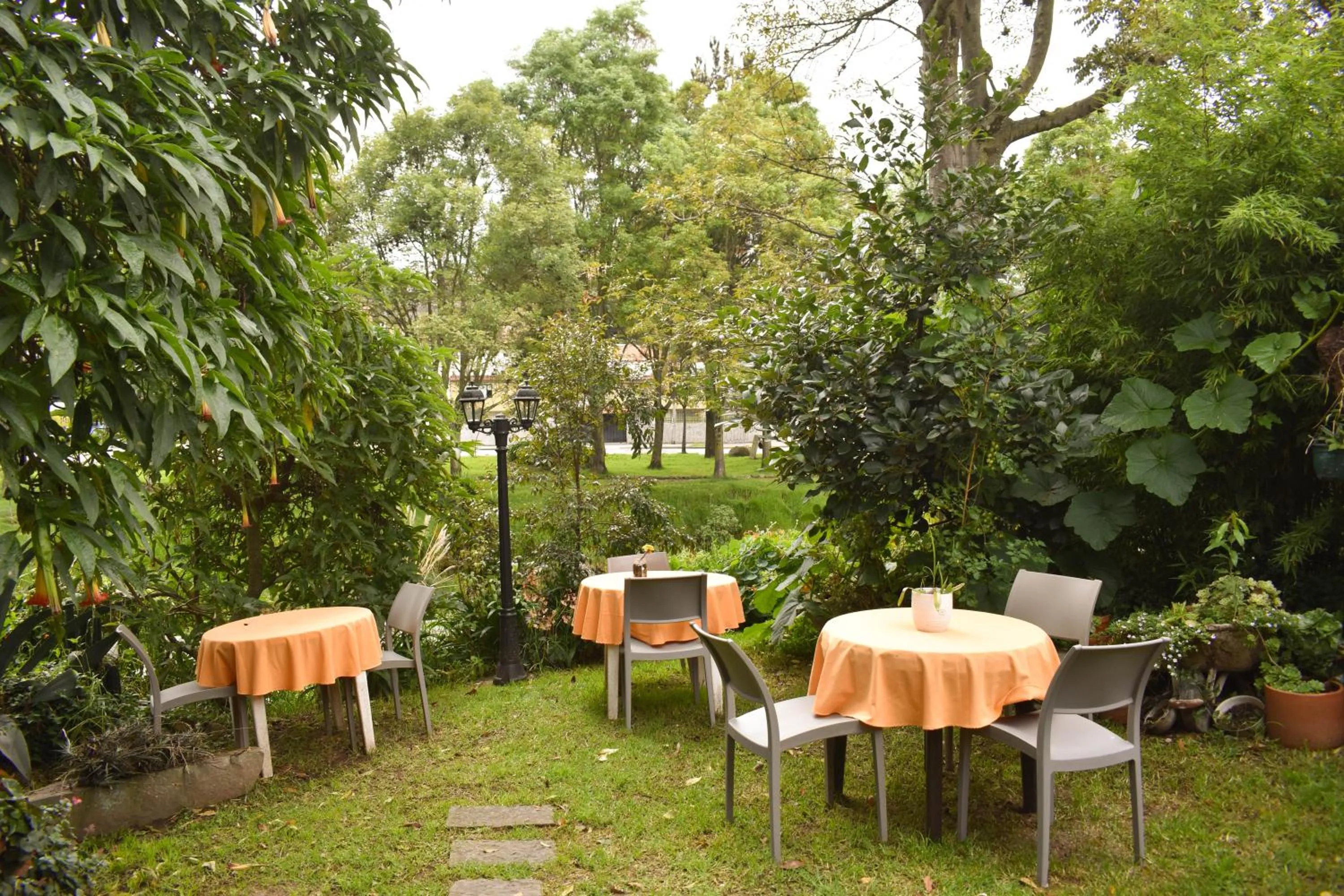 Area and facilities in Apartamentos Otorongo Cuenca Ecuador