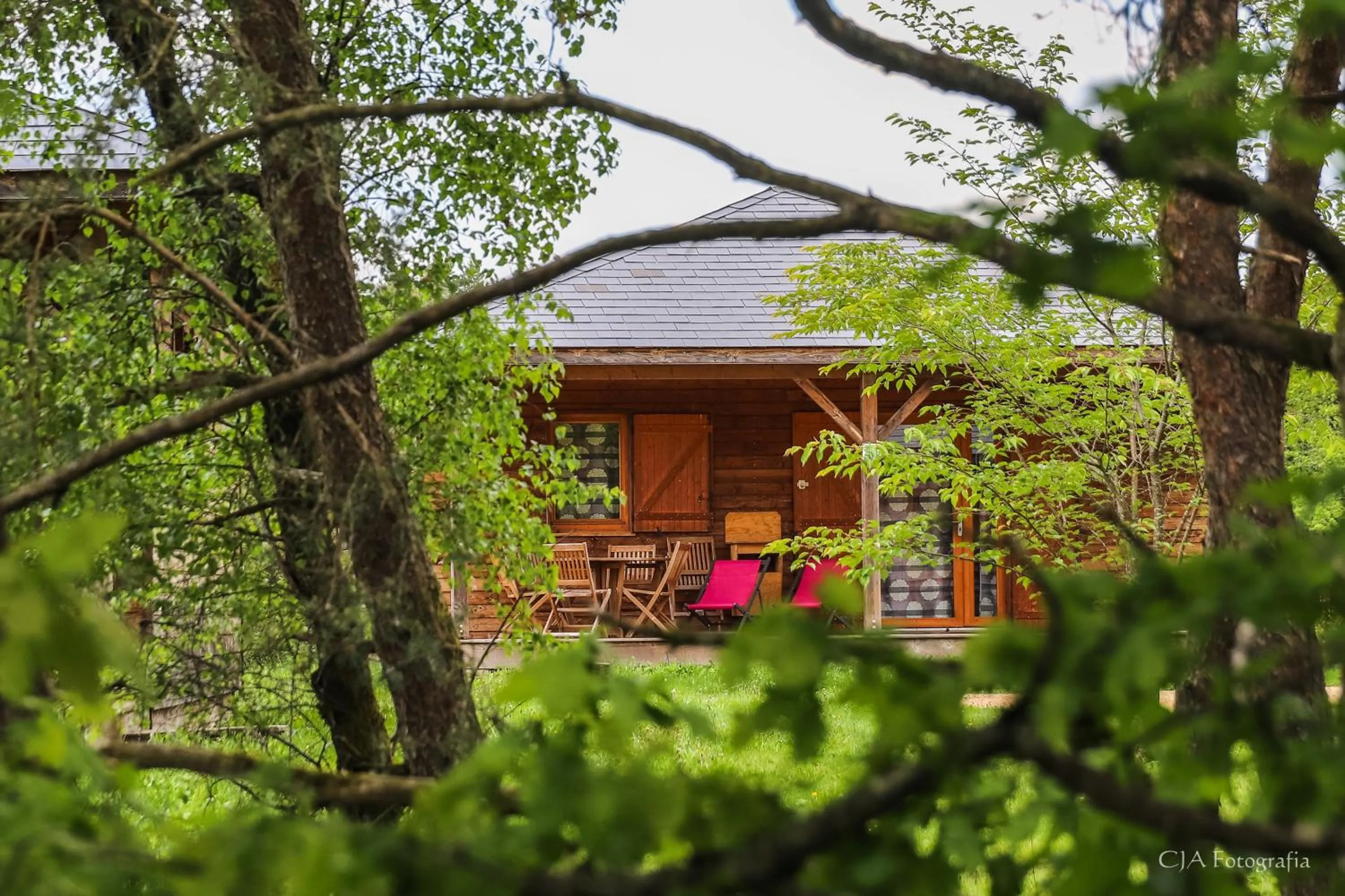 Garden view in Vacancéole - Le Domaine des Monédières