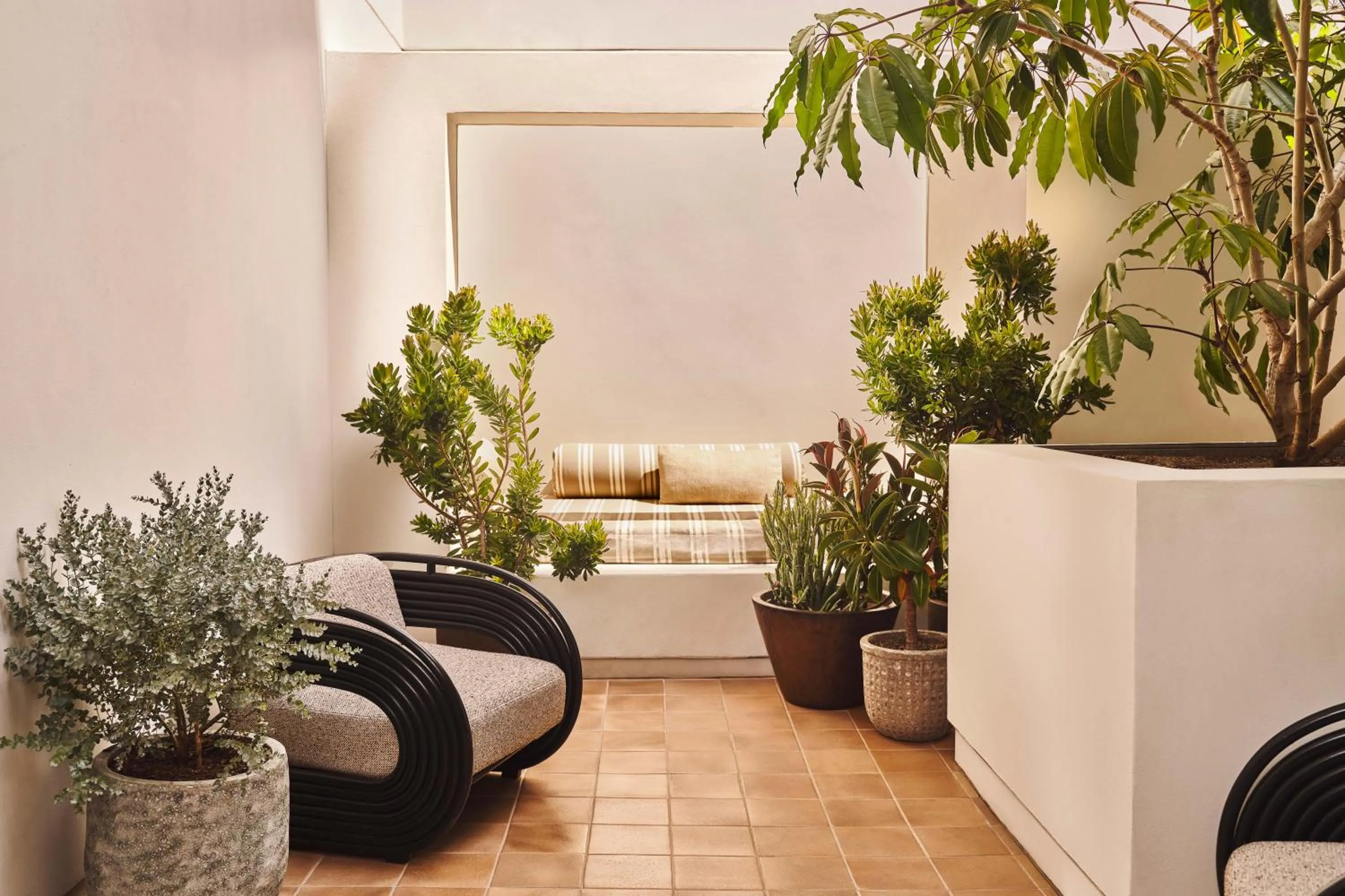 Patio in Santa Monica Proper Hotel, a Member of Design Hotels