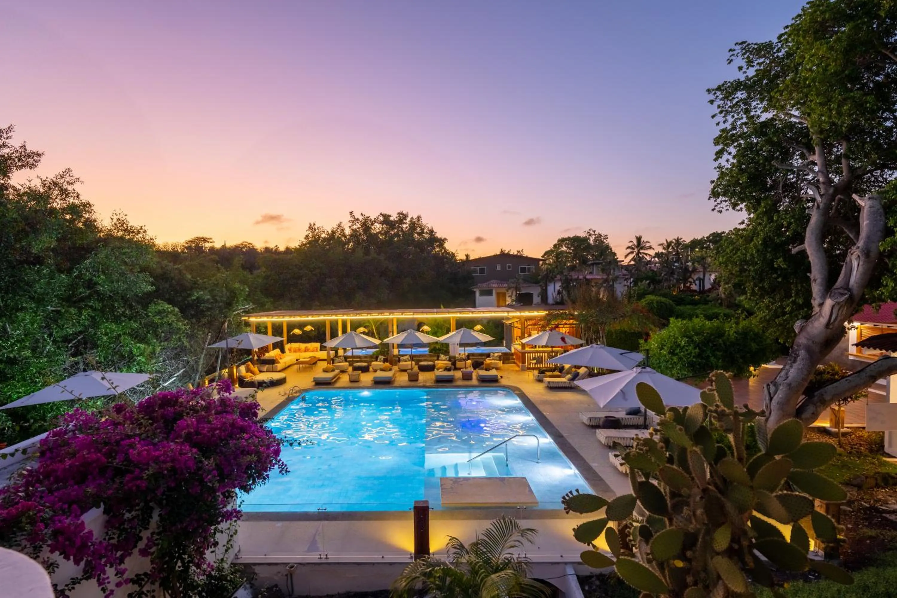 Natural landscape in Hotel Fiesta