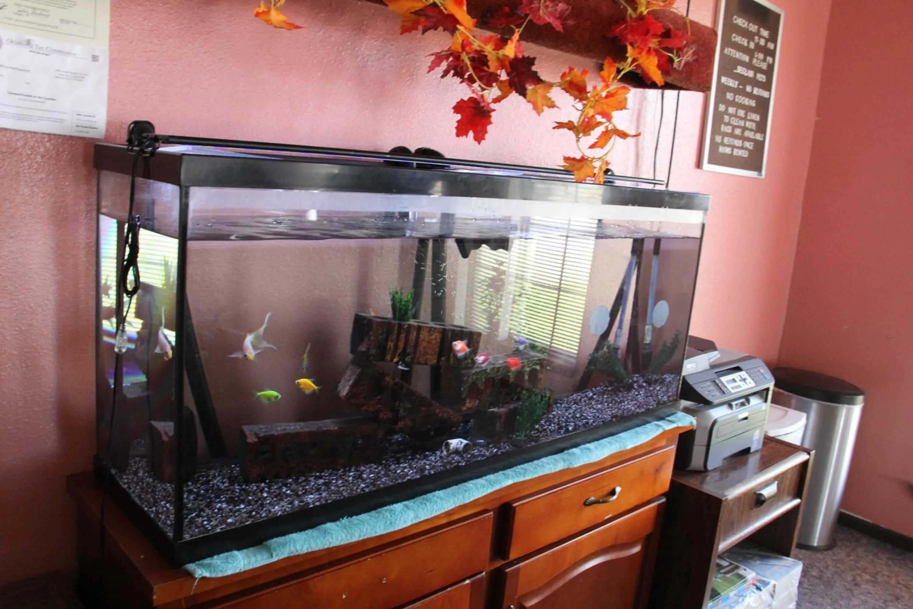 Lobby or reception in Lodge USA Motel