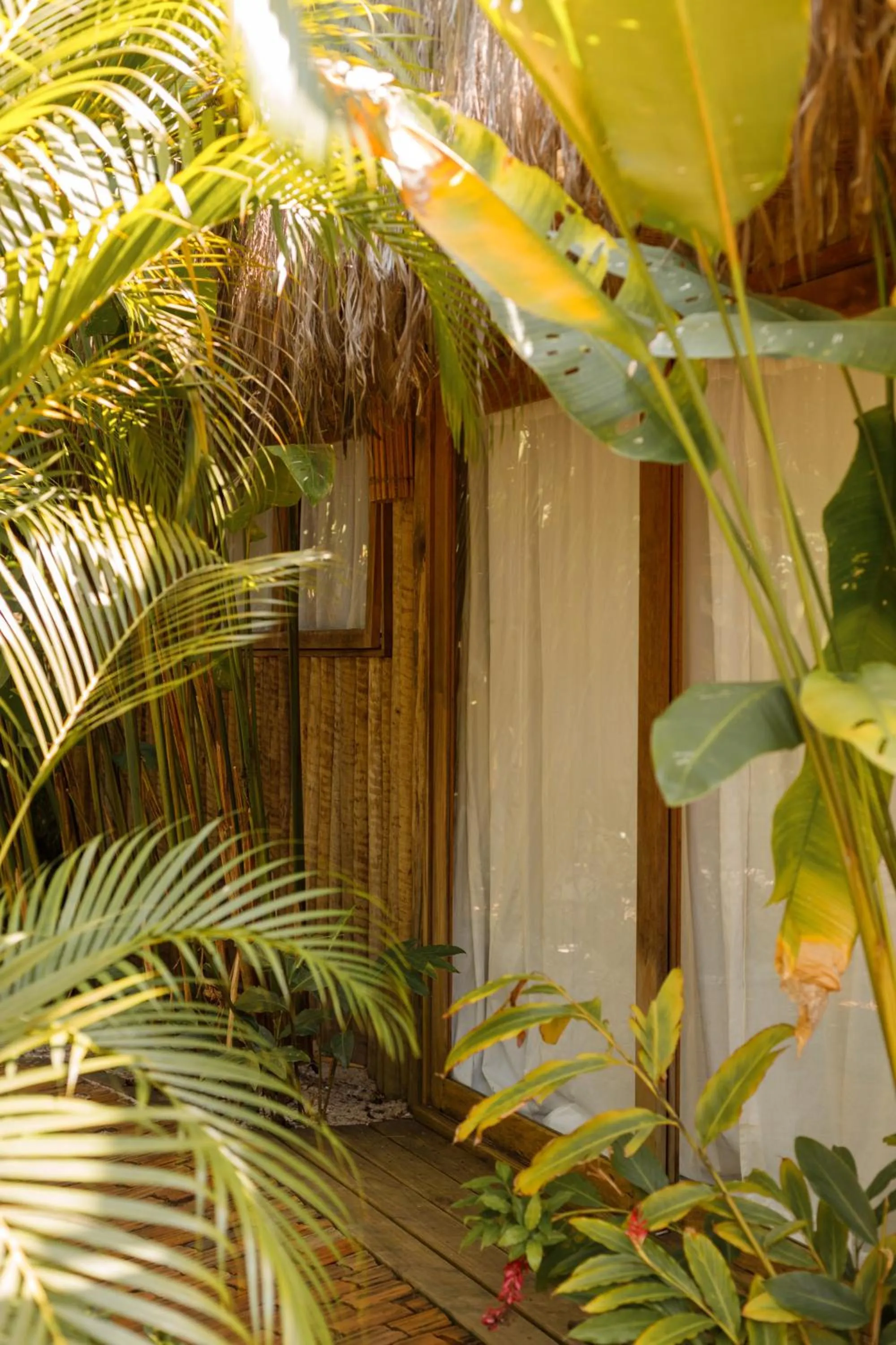 Pousada Mangue Sereno