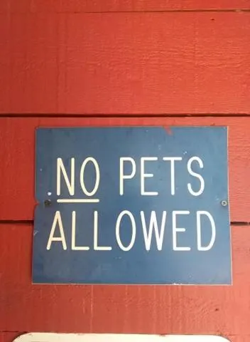 Super 8 by Wyndham Taos