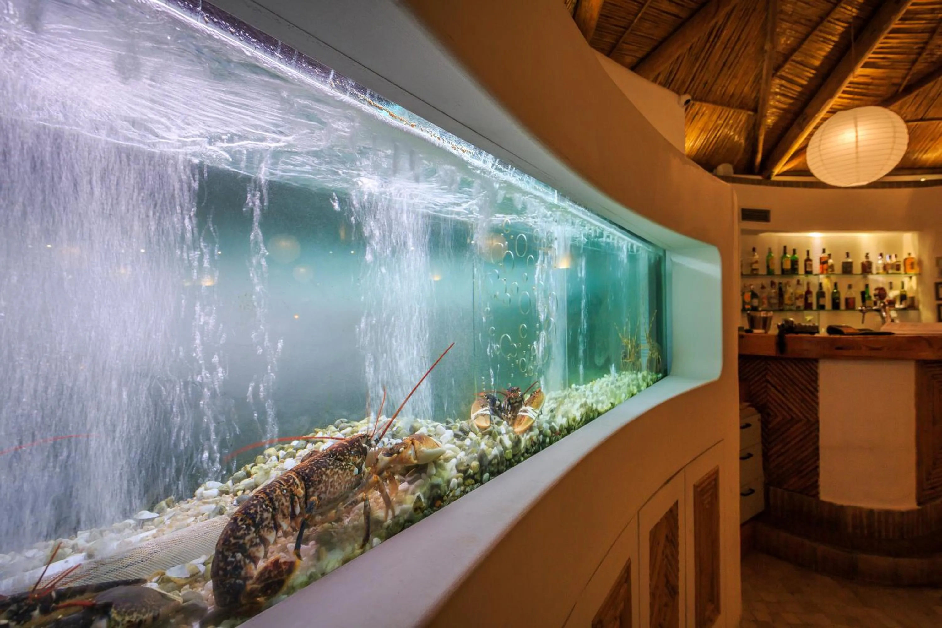 Banquet/Function facilities in Encosta Do Lago Resort Club