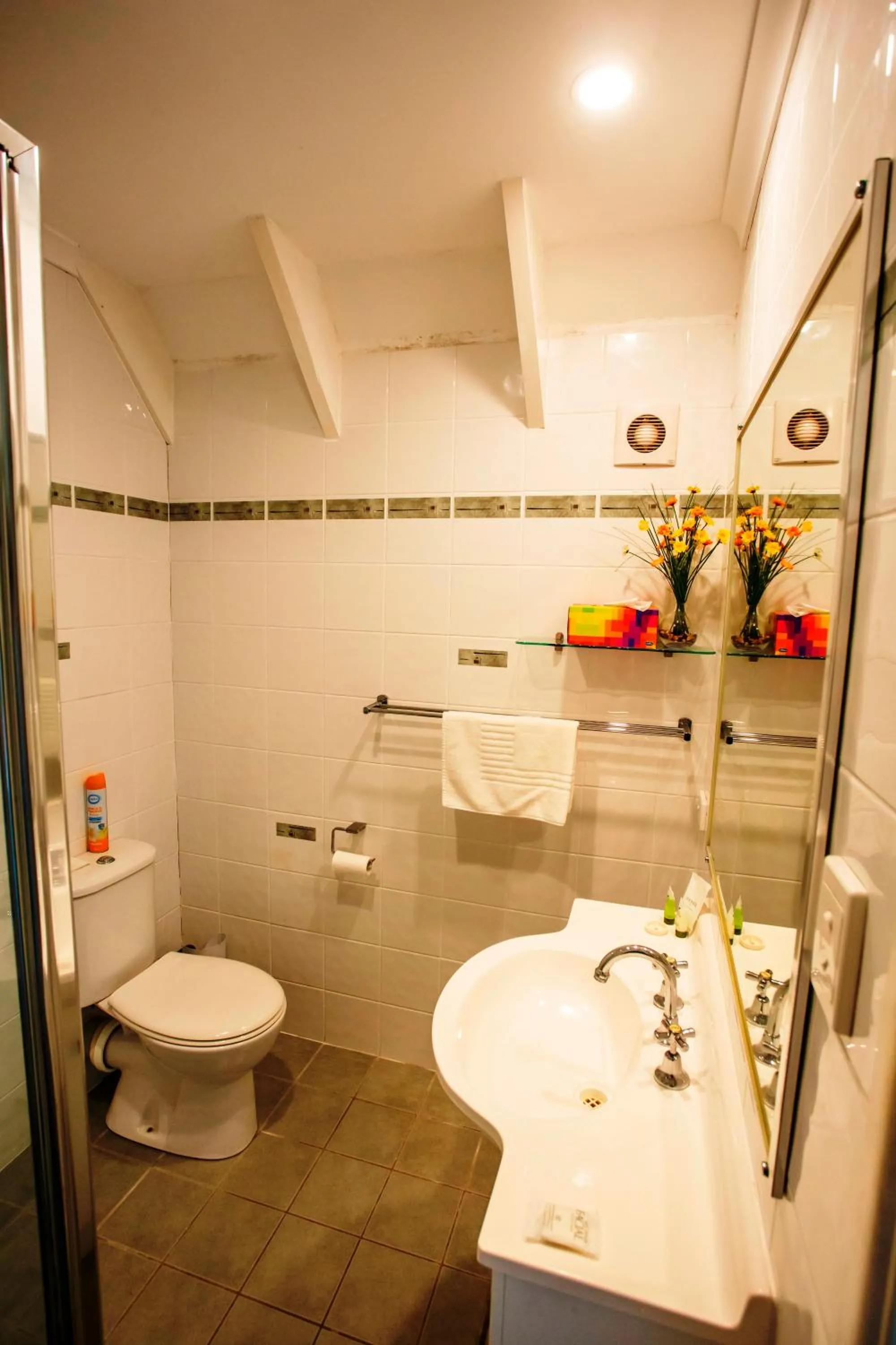 Bathroom in Ainslie Manor Guest House