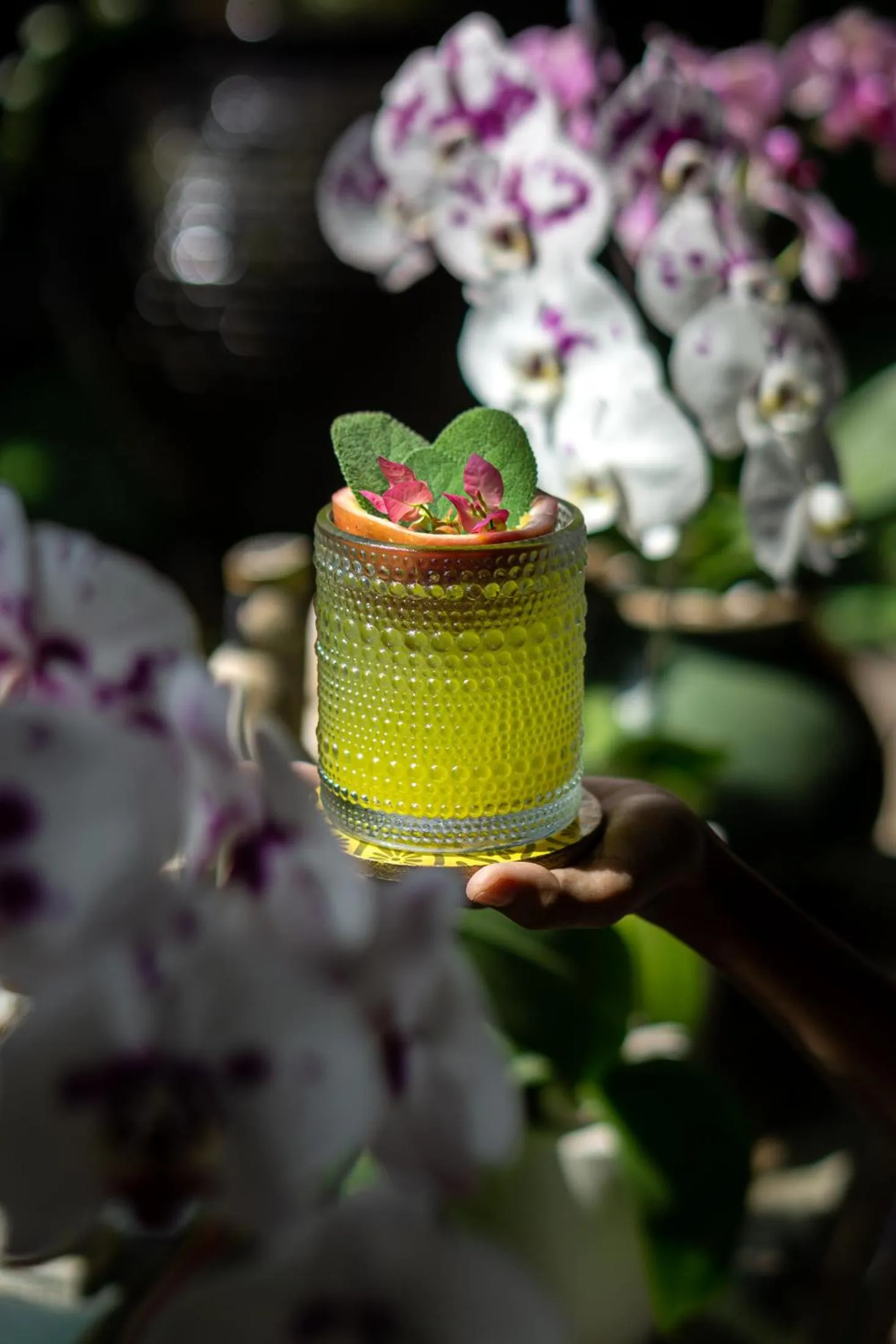 Drinks in Blue Karma Village