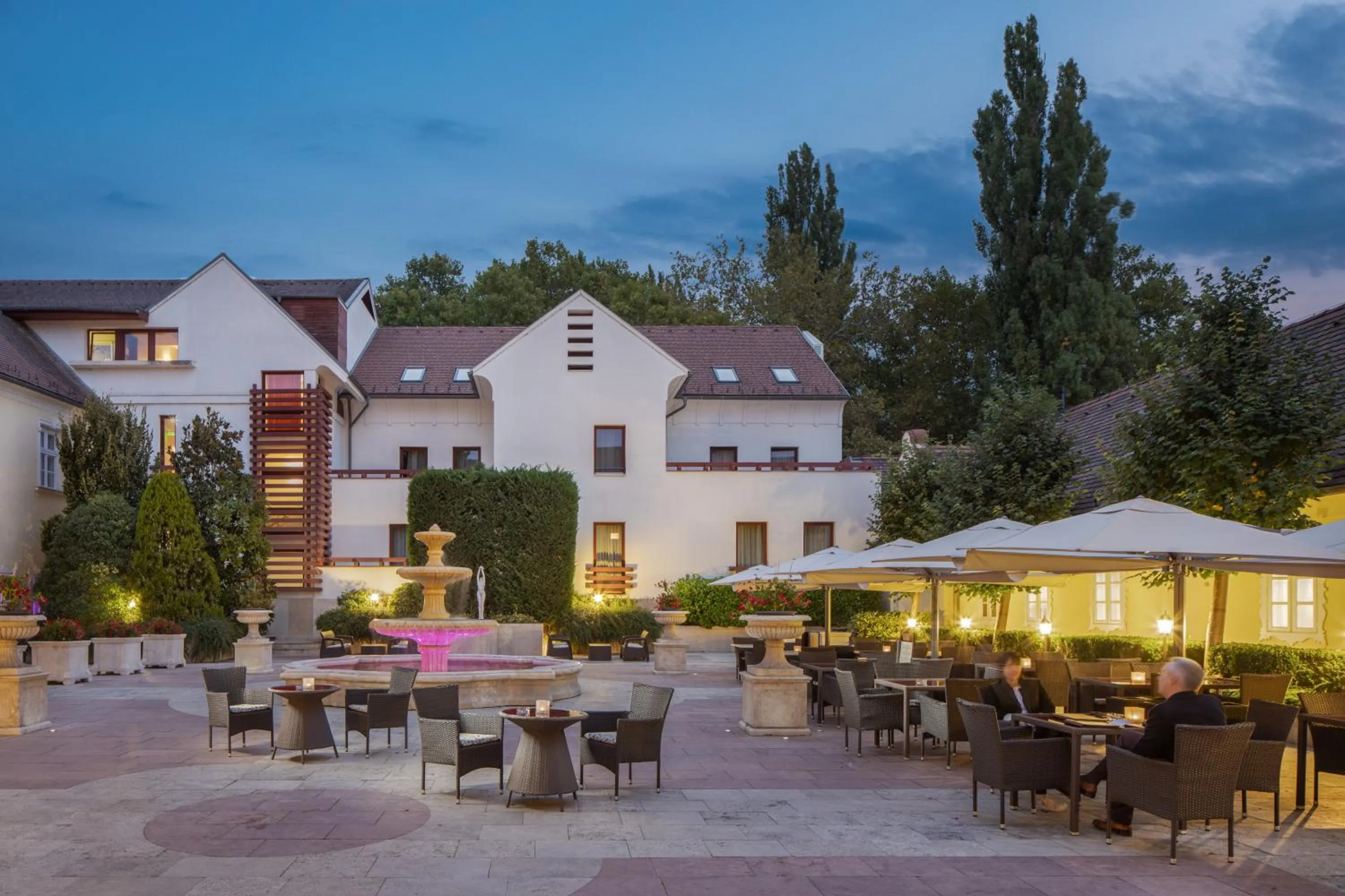 Garden in Hotel Kristály Imperial