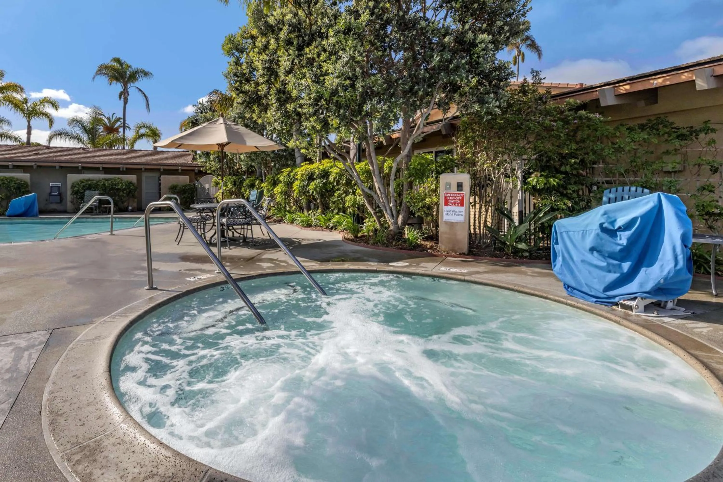 Pool view in Best Western PLUS Island Palms Hotel & Marina