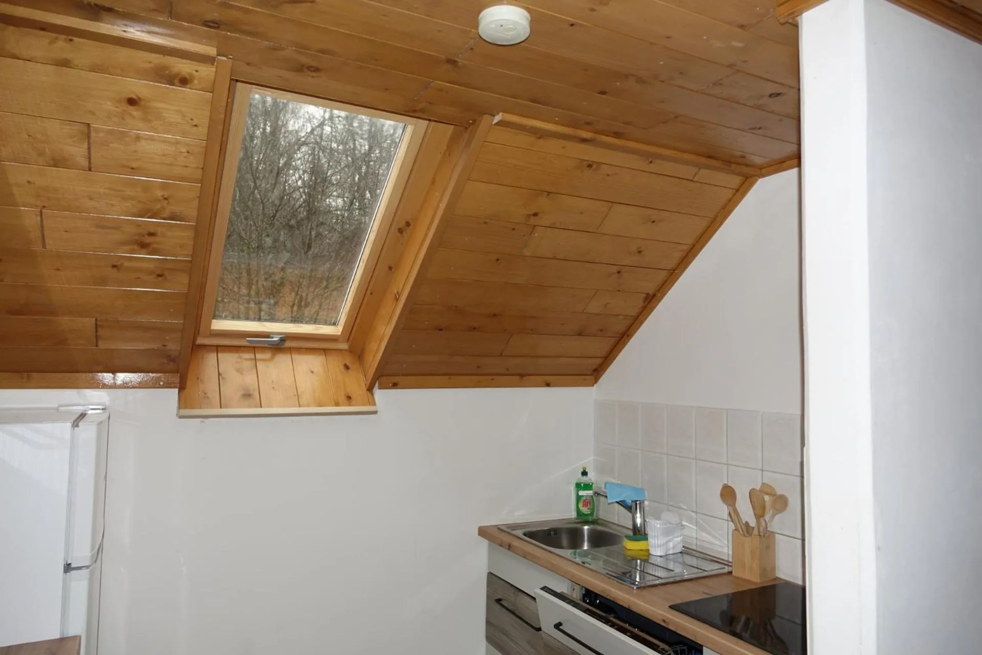 Kitchen or kitchenette in BOOA Rooms Irena