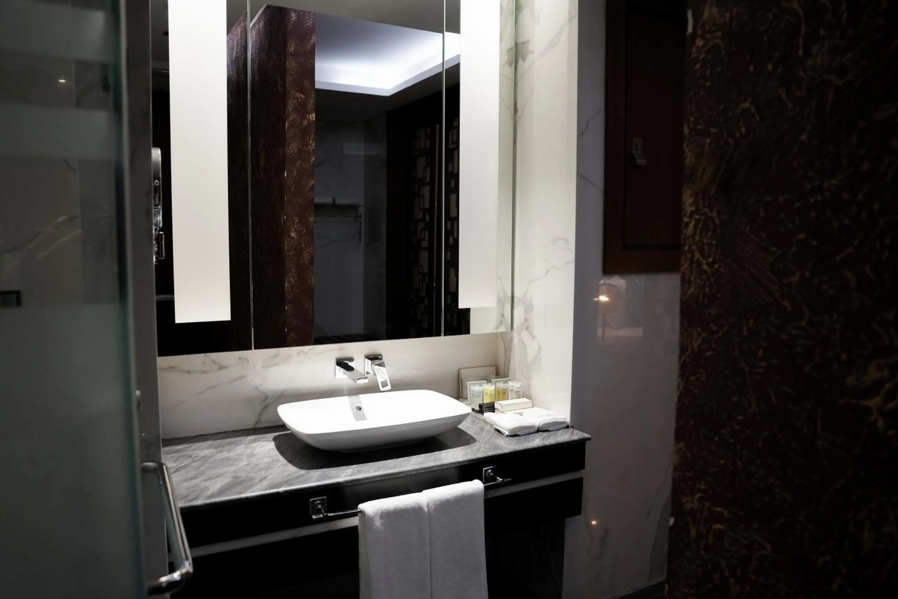 Bathroom in VIP Hotel Doha Qatar