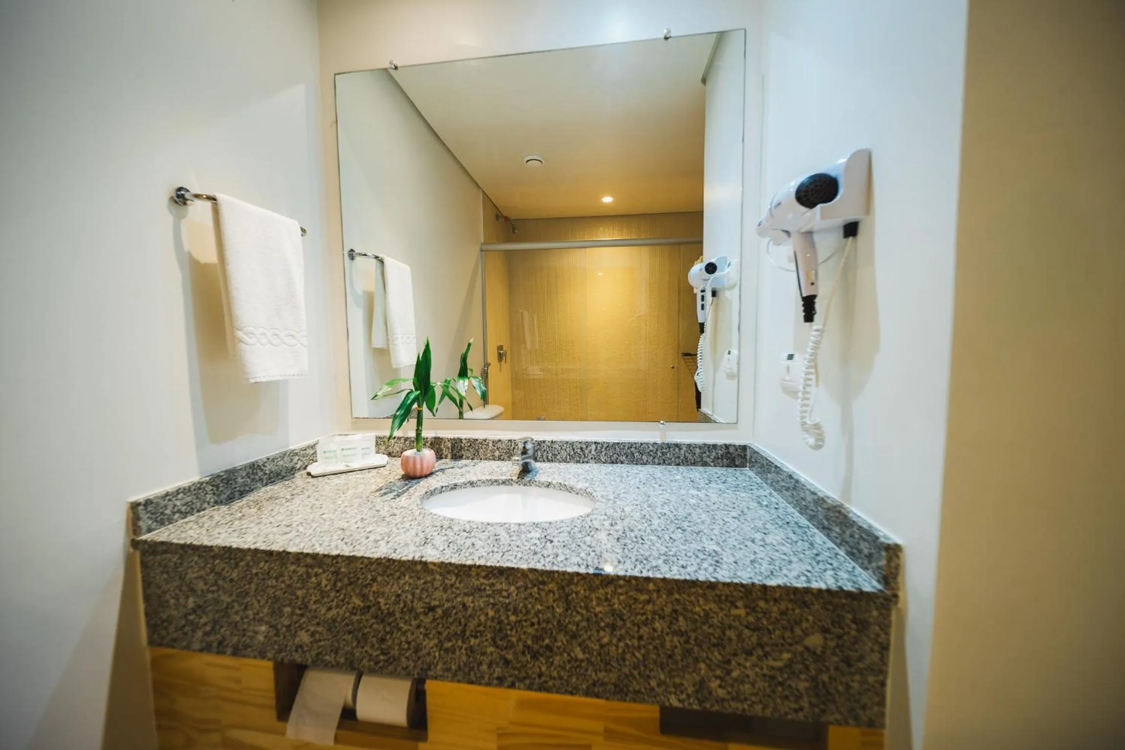 Bathroom in Hotel Nacional Inn Curitiba Santa Felicidade