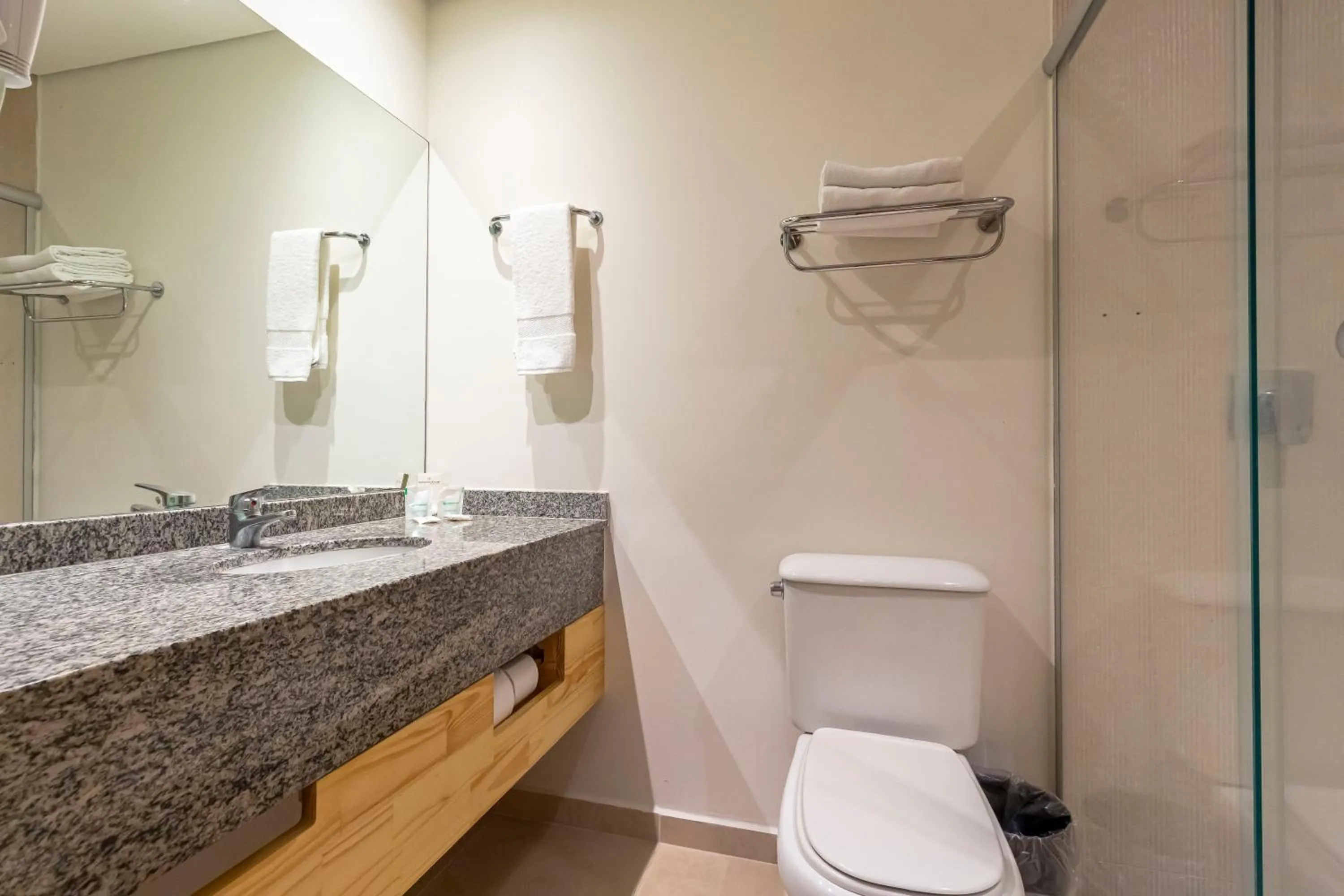 Bathroom in Hotel Nacional Inn Curitiba Santa Felicidade