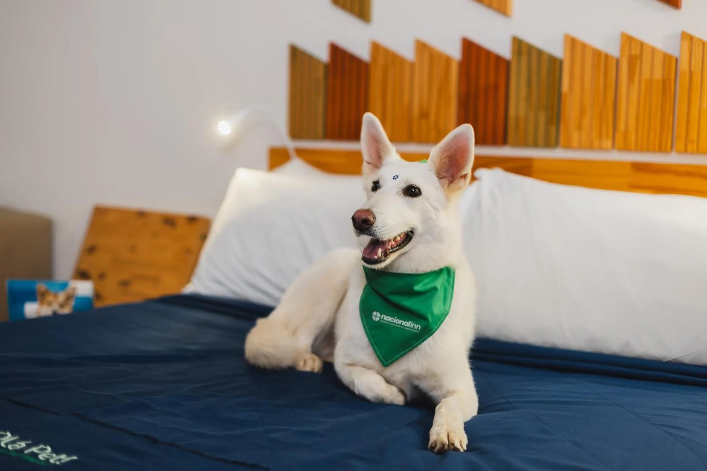 Pets in Hotel Nacional Inn Curitiba Santa Felicidade