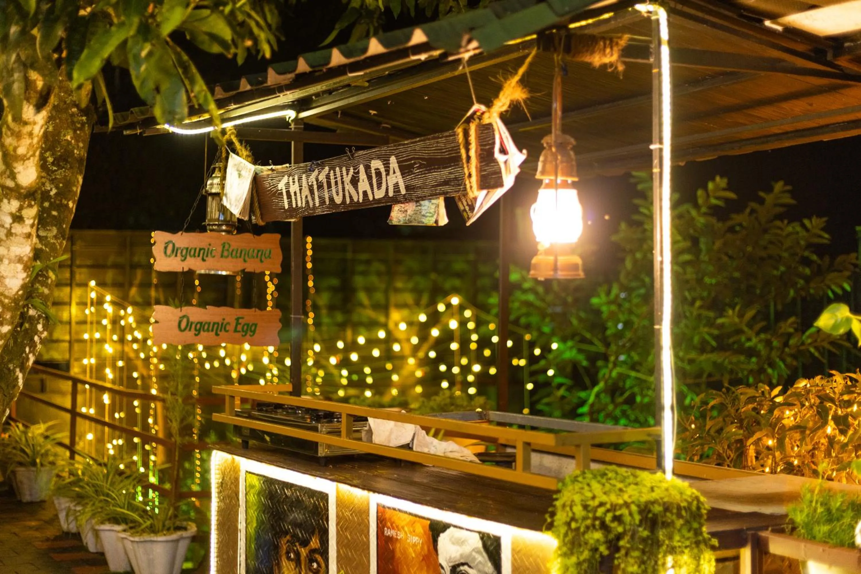 Night in Star Emirates Luxury Resort and Spa, Munnar