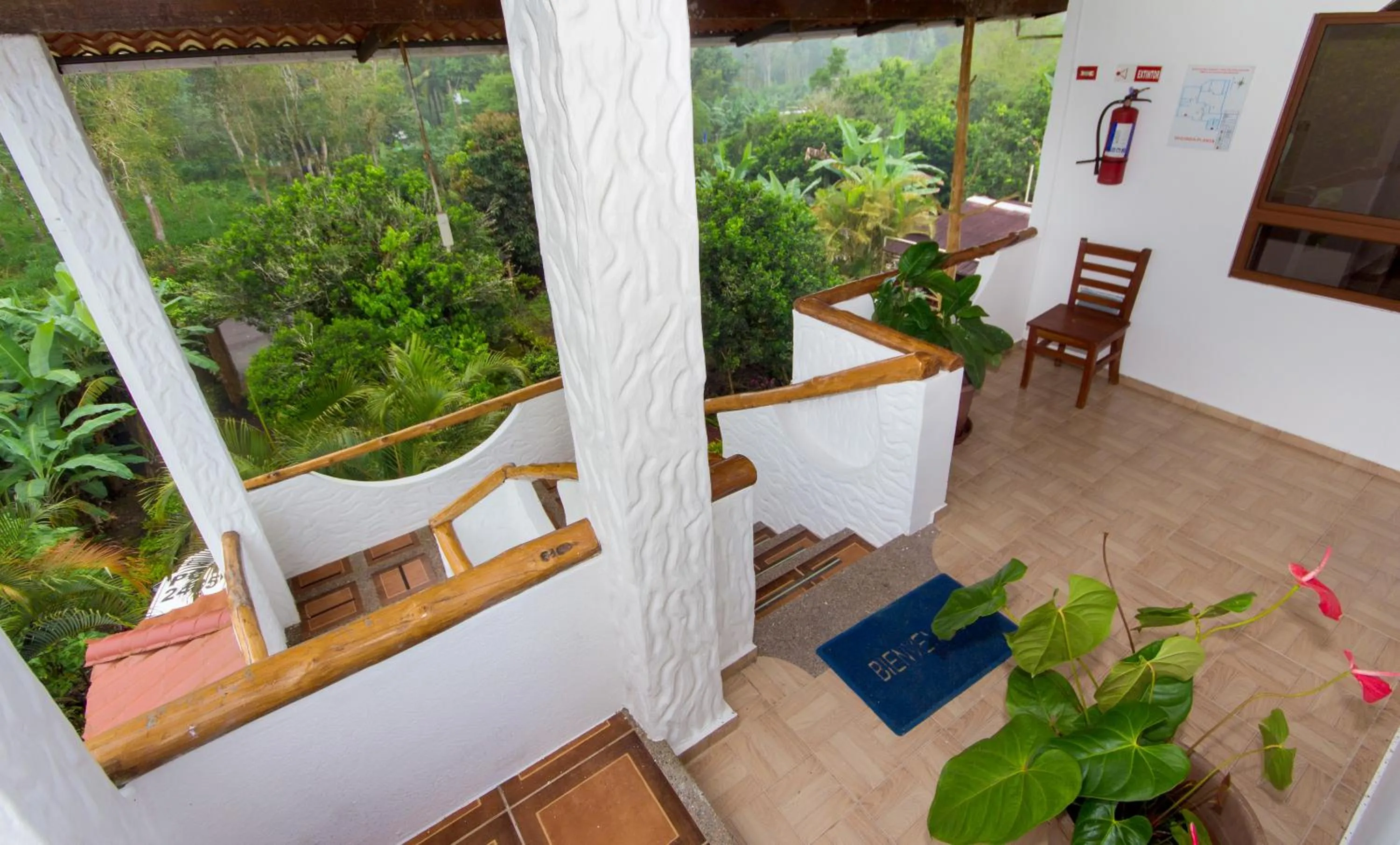 Garden in Hotel Twin Galápagos