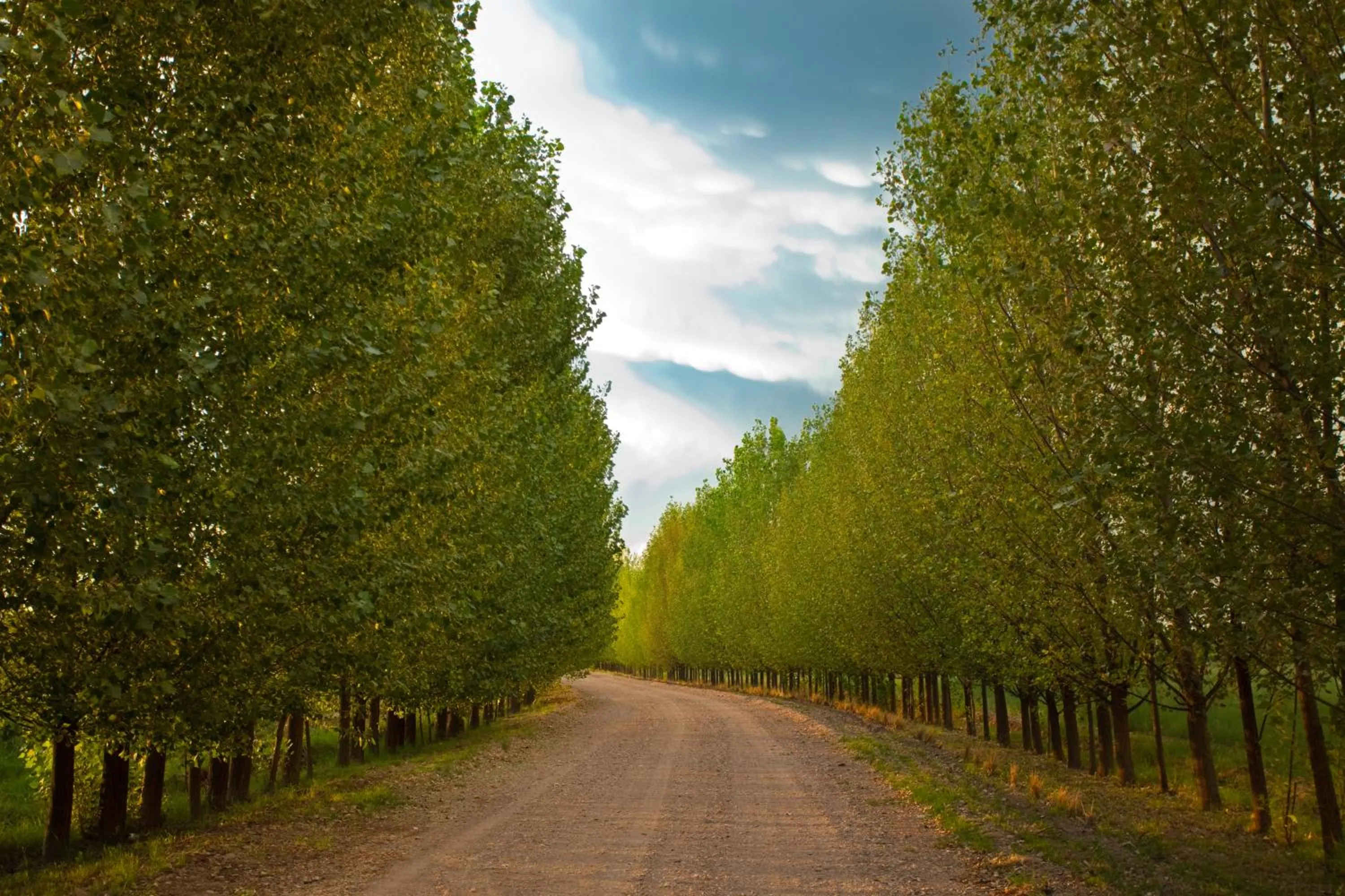 Street view in Algodon Wine Estates & Champions Club