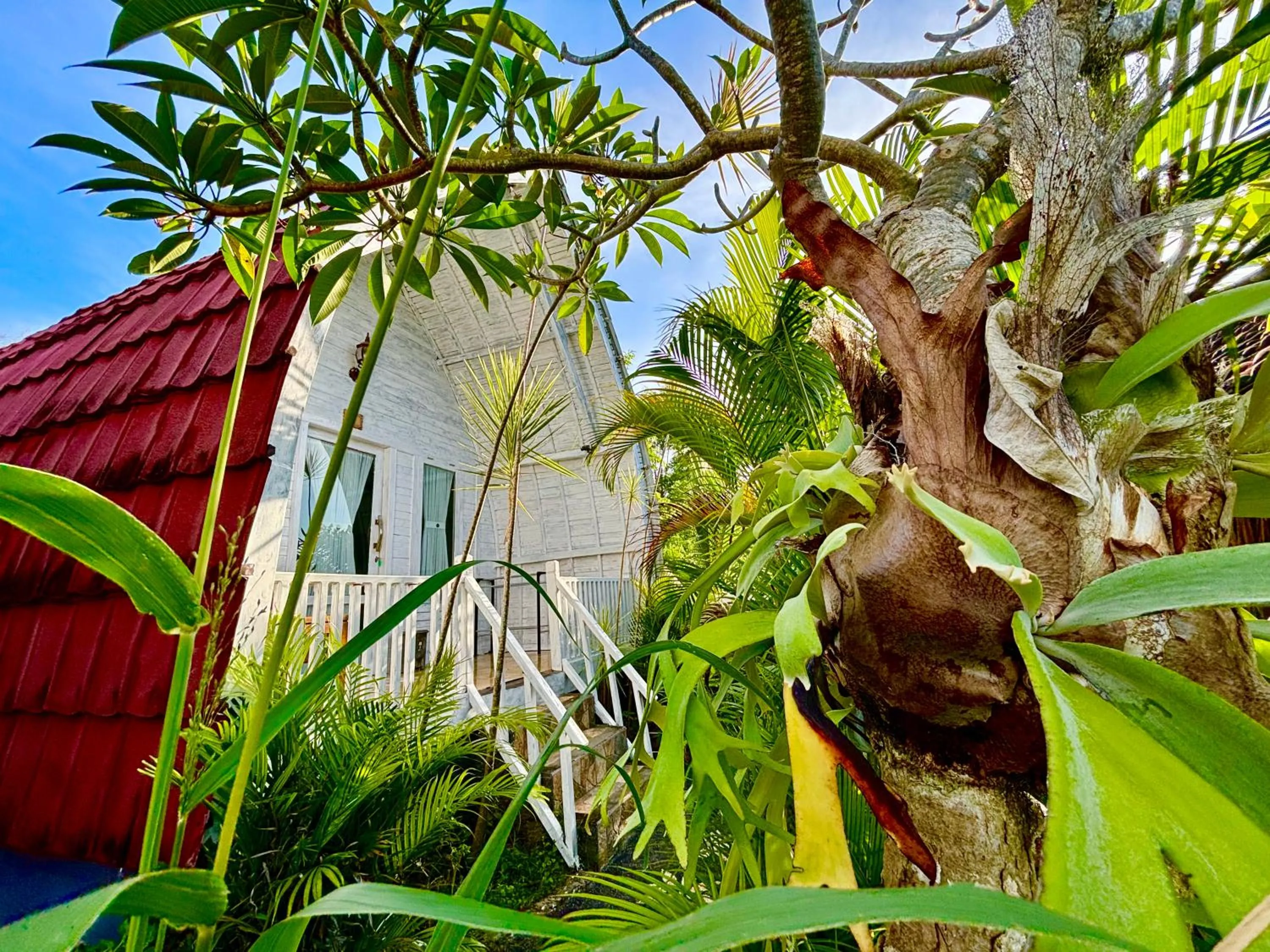 Day in Hotra Hill Cottage