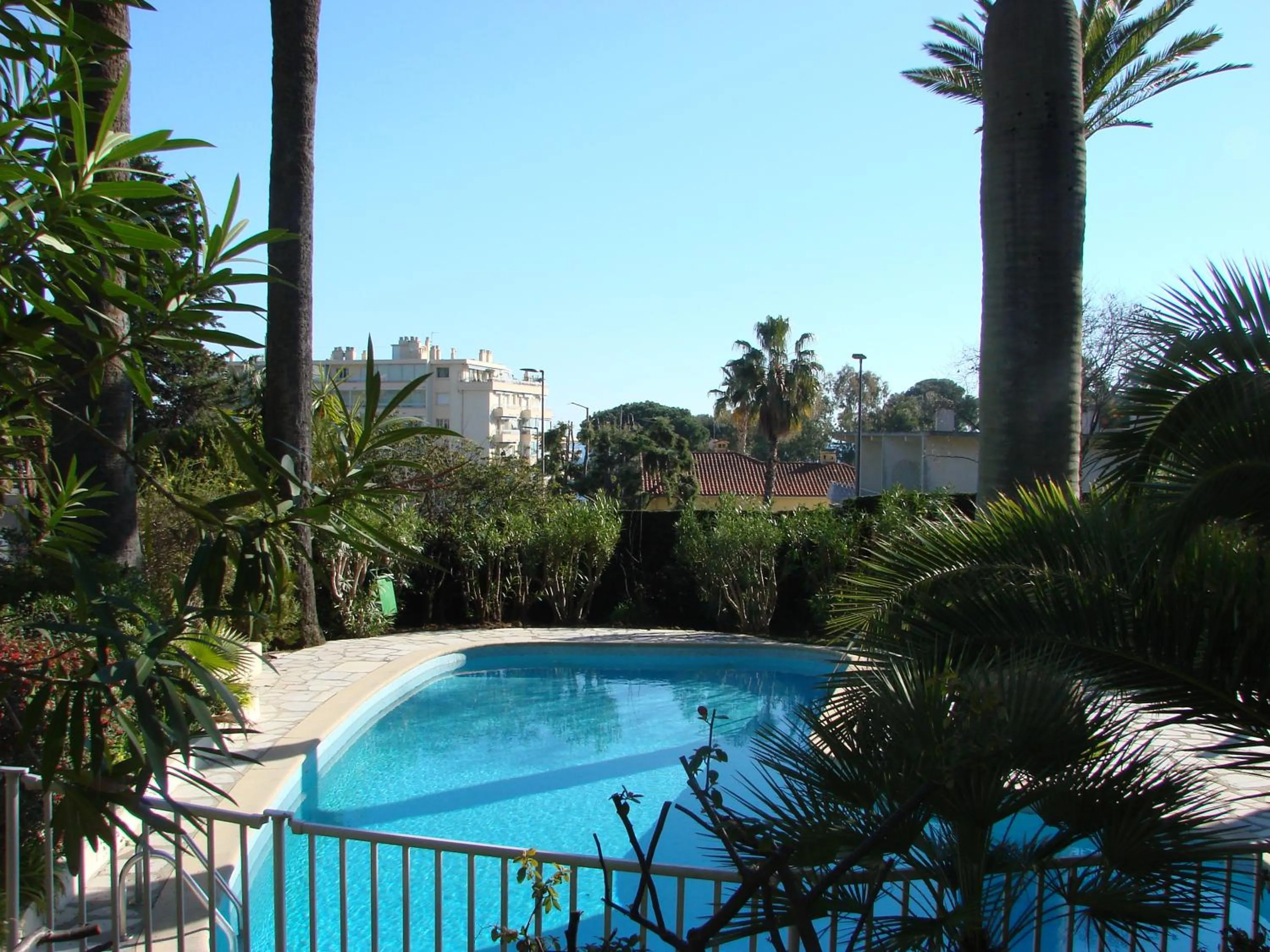 Swimming pool in The Best Place