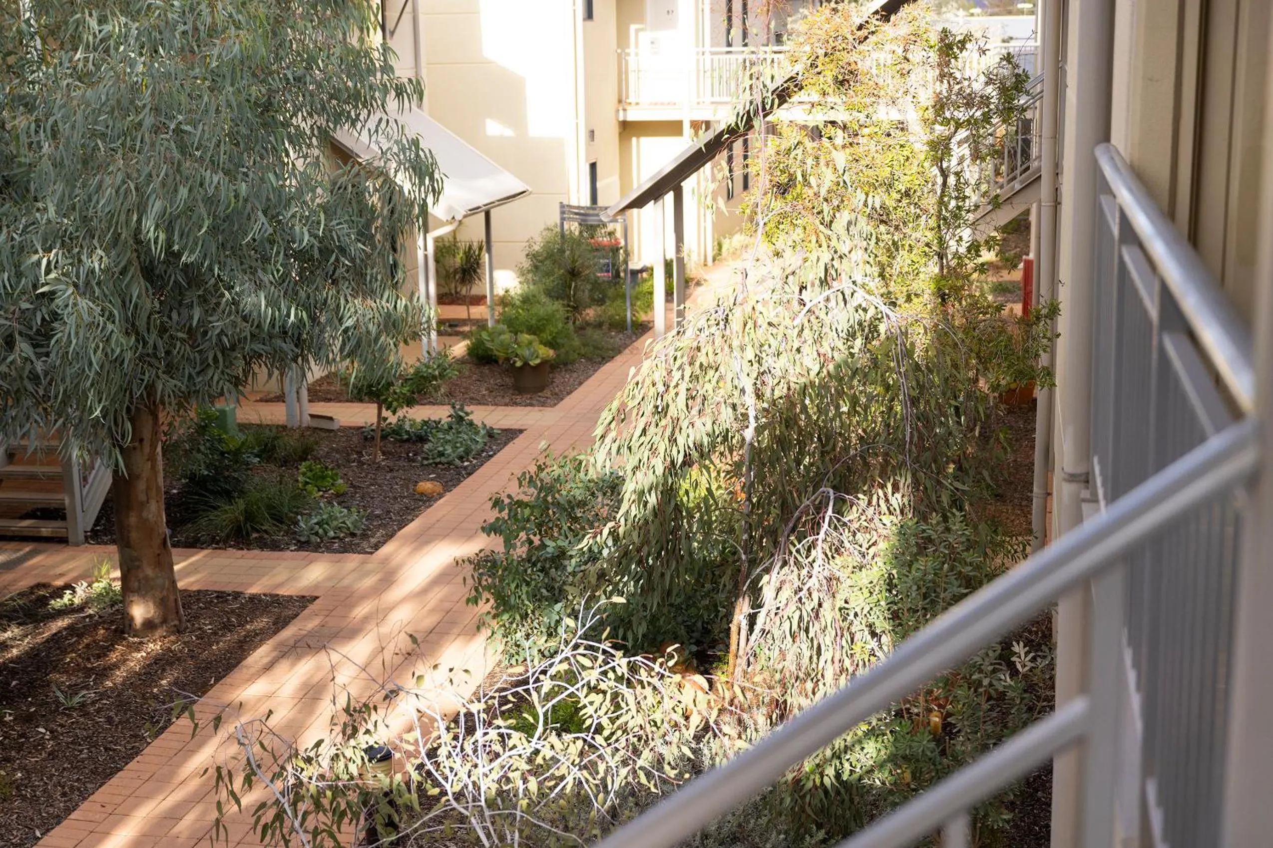 Garden view in Rydges Kalgoorlie