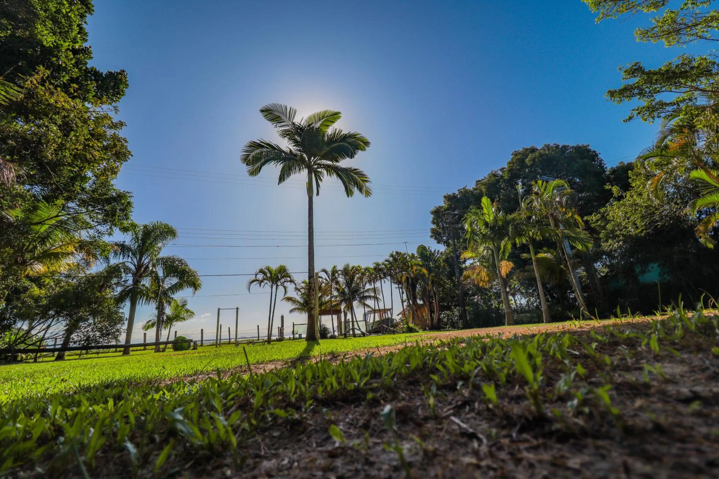 Garden view in A Ilha Verde Hotel Pousada na Praia