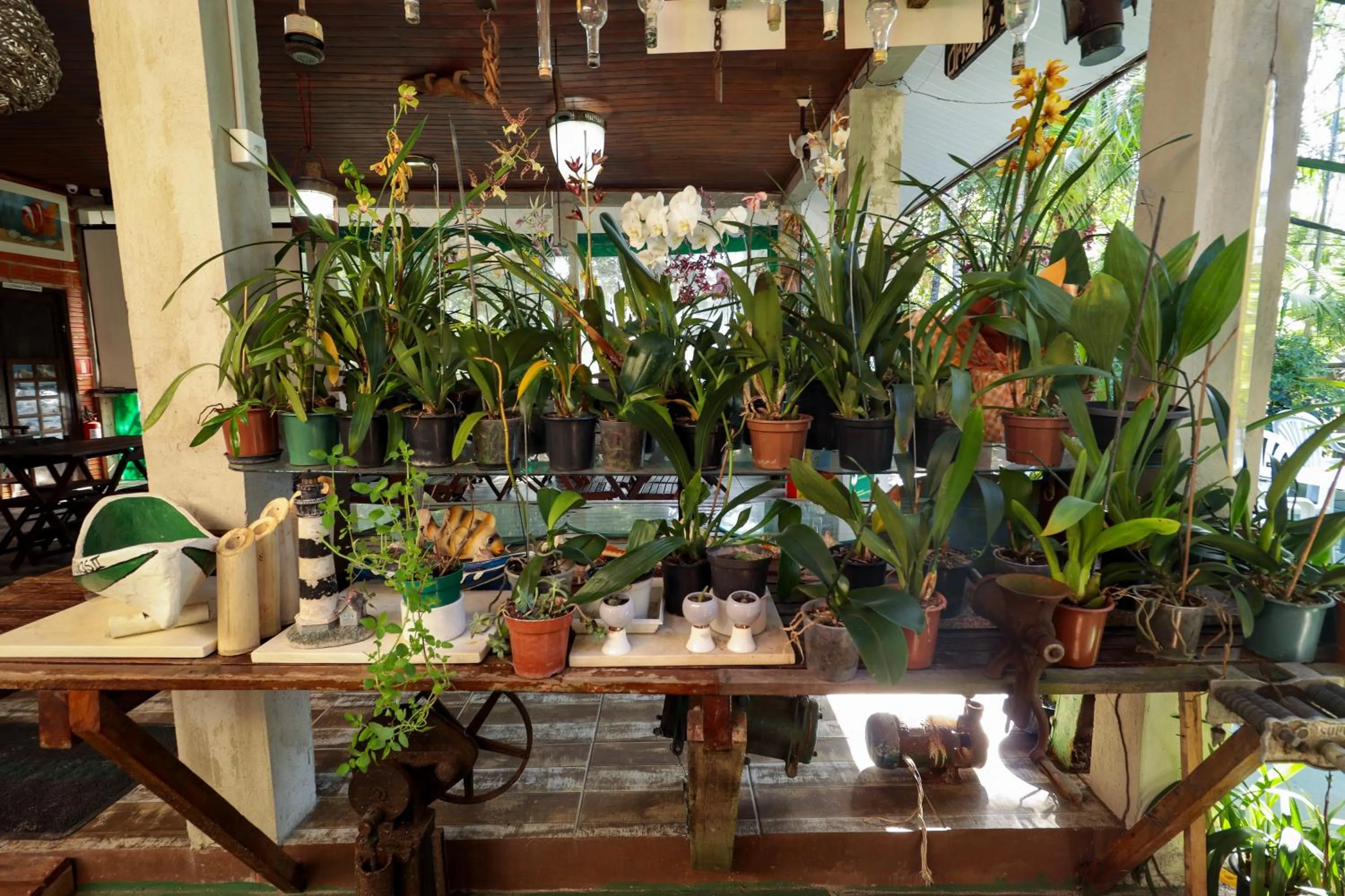 A Ilha Verde Hotel Pousada na Praia