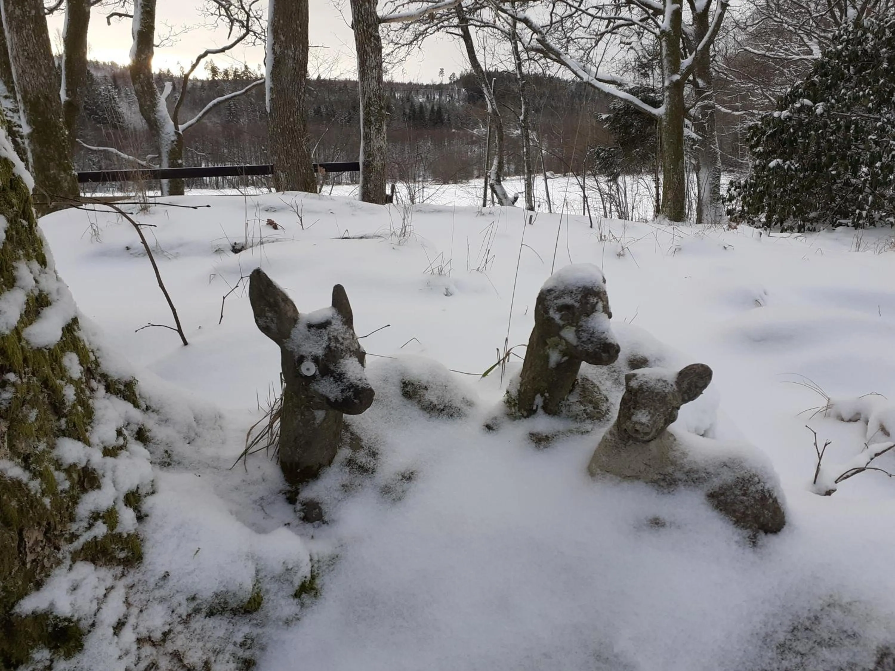 Winter in Villa Ekegården