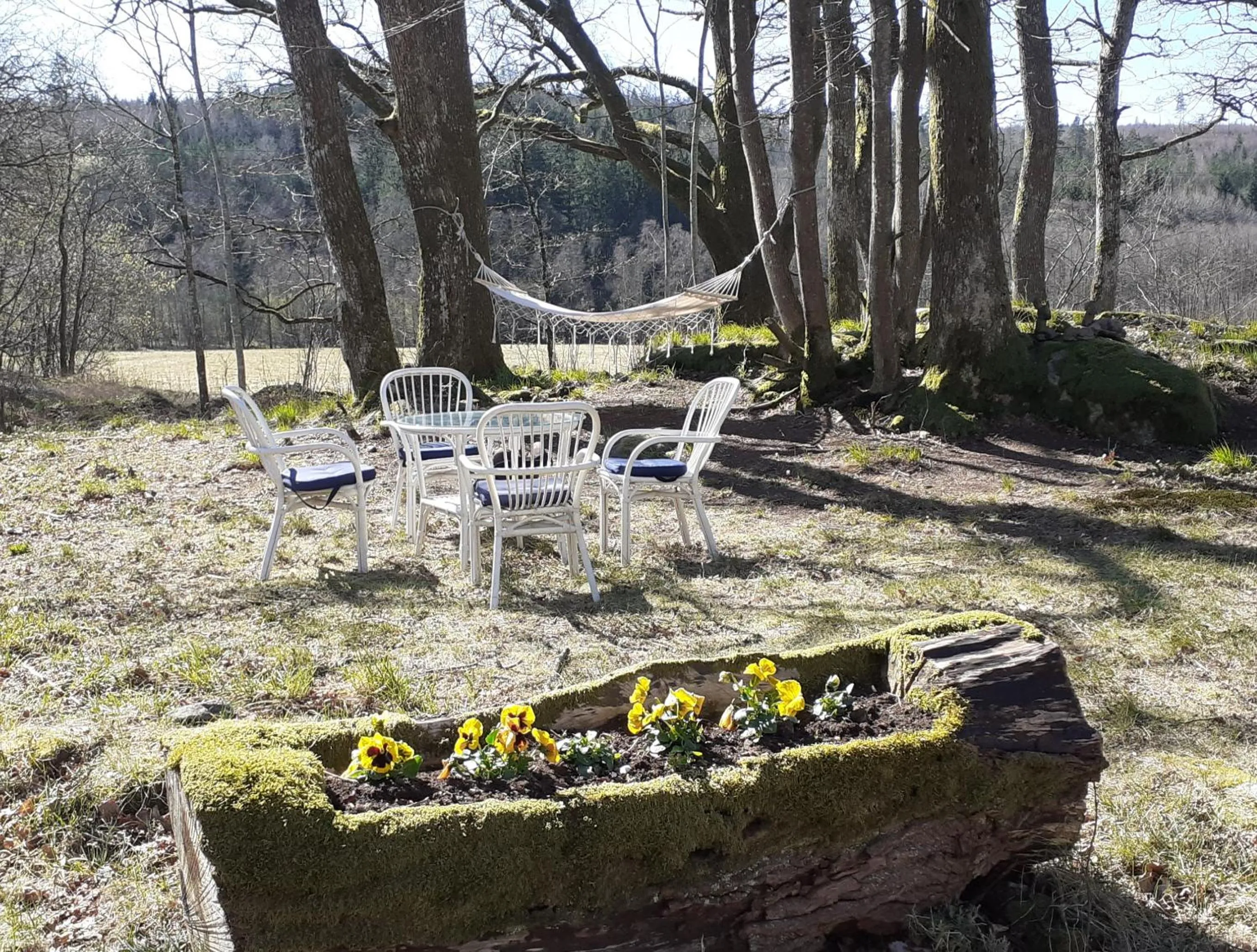 Spring in Villa Ekegården