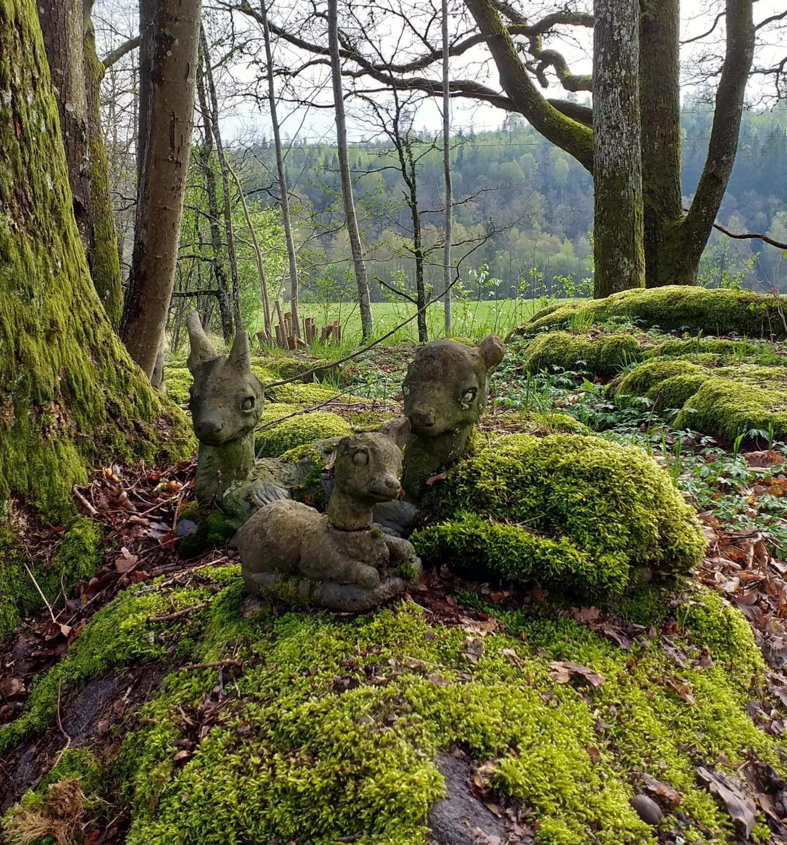Natural landscape in Villa Ekegården