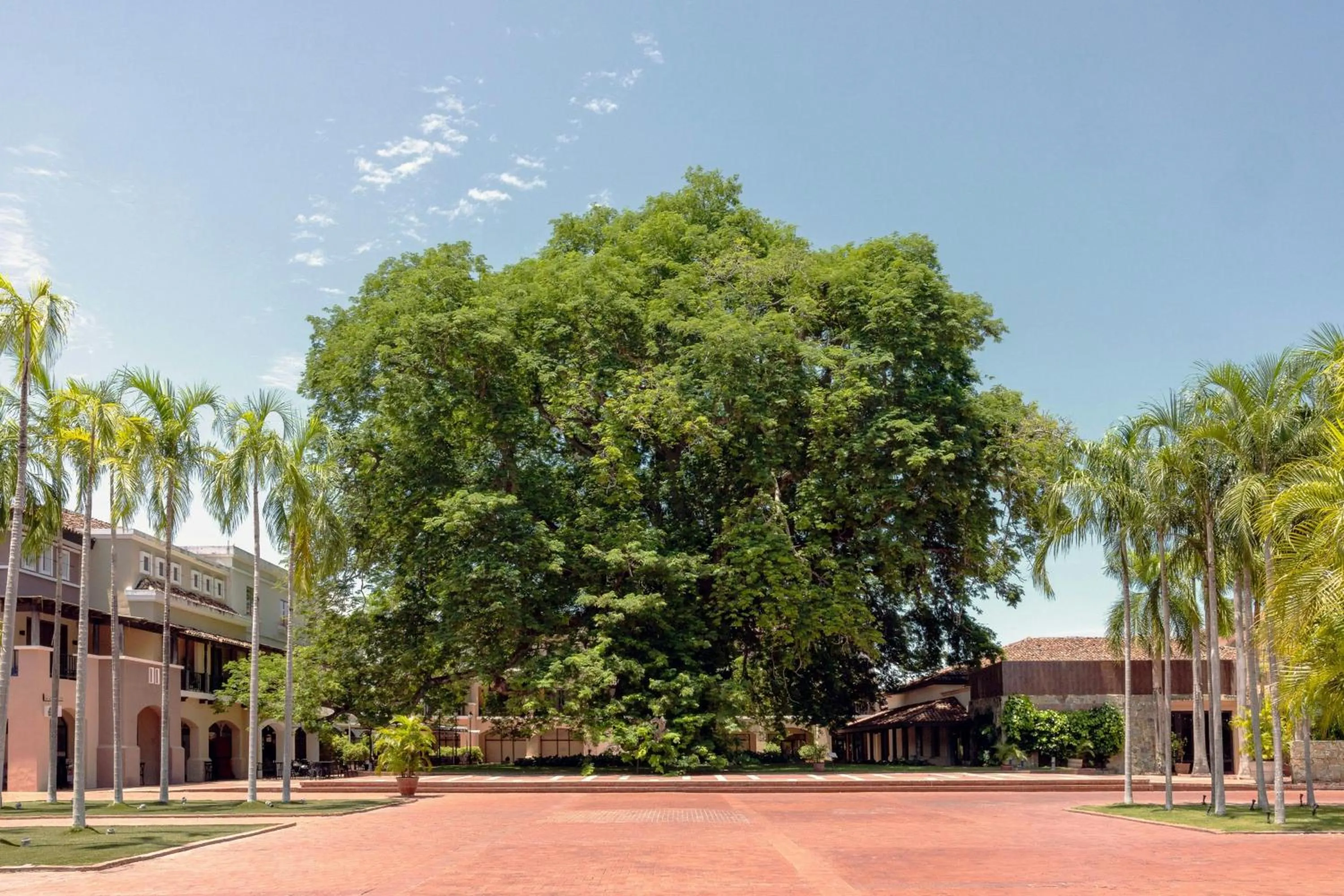 View (from property/room) in The Buenaventura Golf & Beach Resort, Autograph Collection