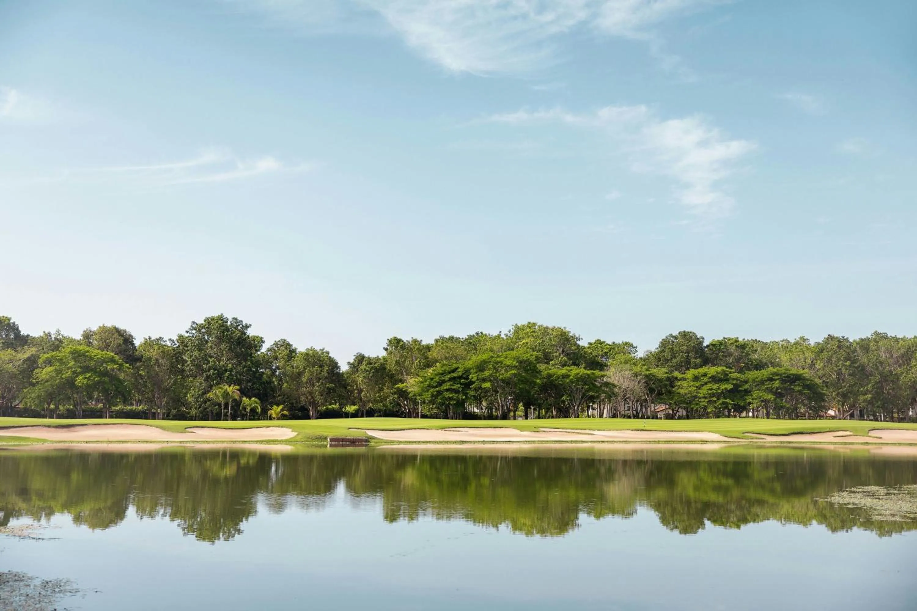 Other in The Buenaventura Golf & Beach Resort, Autograph Collection