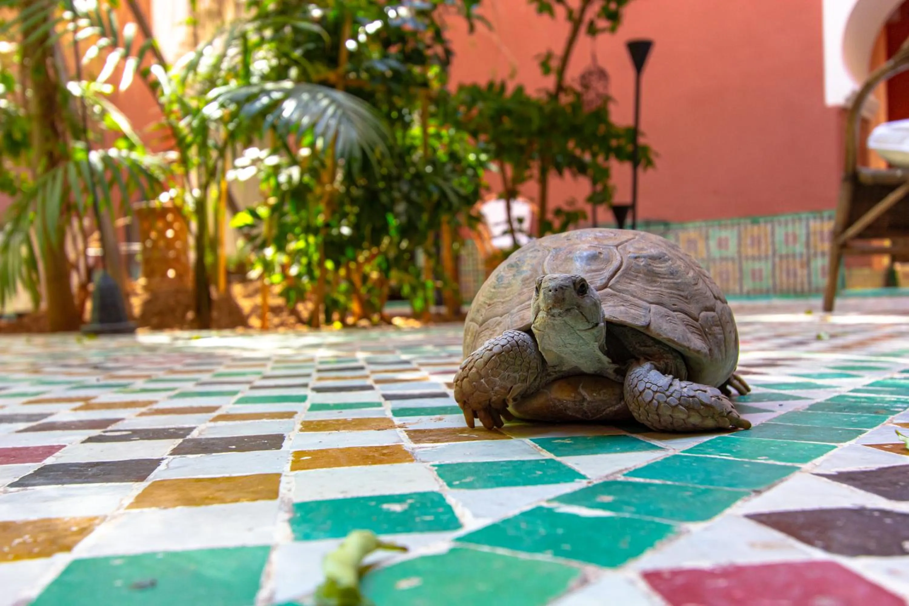 Patio in Riad Kaiss By Anika