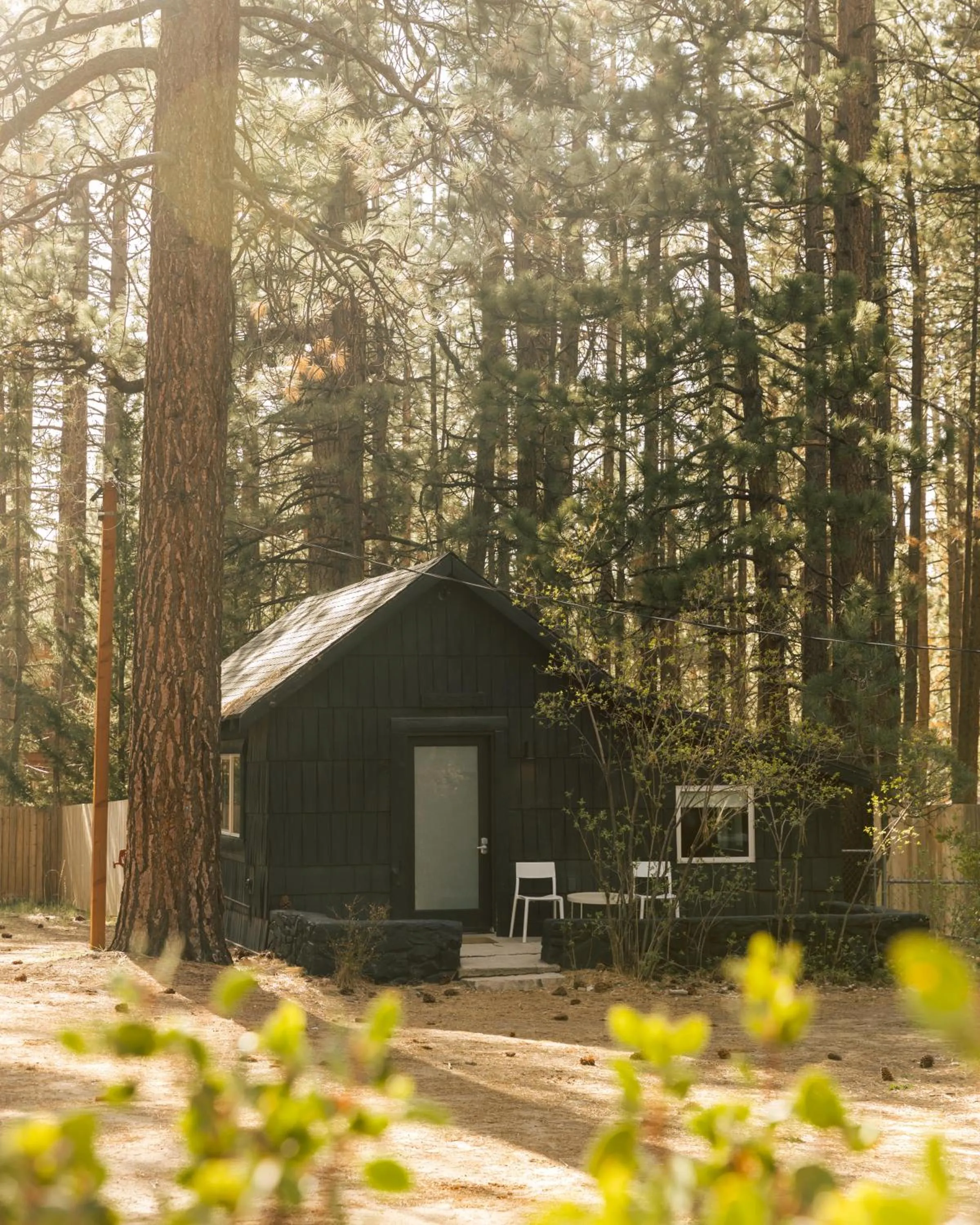 Property building in Colorado Lodge