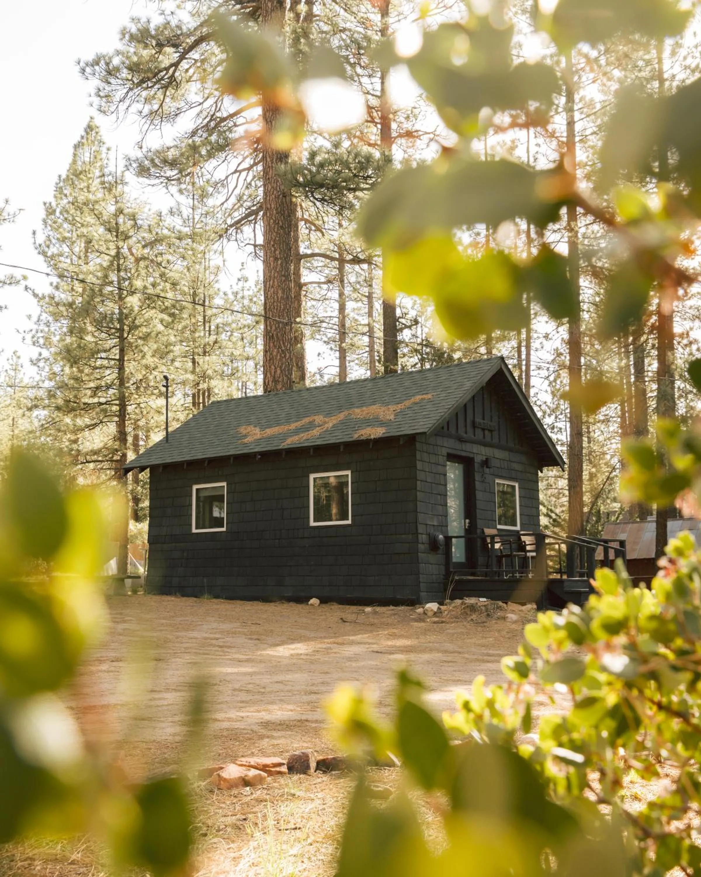 Property building in Colorado Lodge