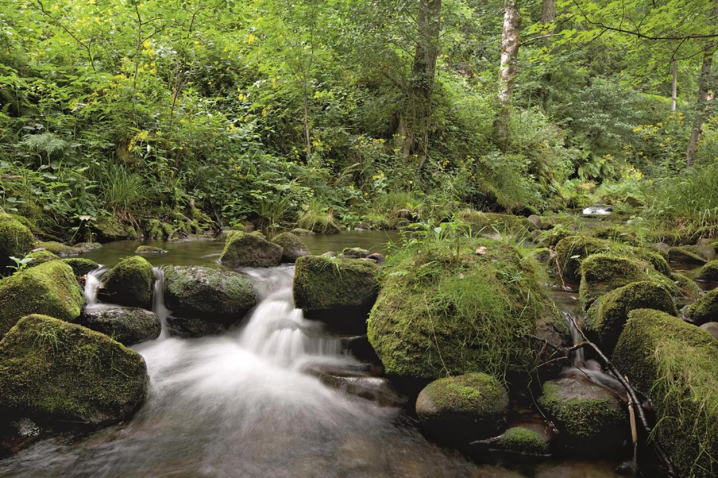 View (from property/room) in Hotel Traube Tonbach