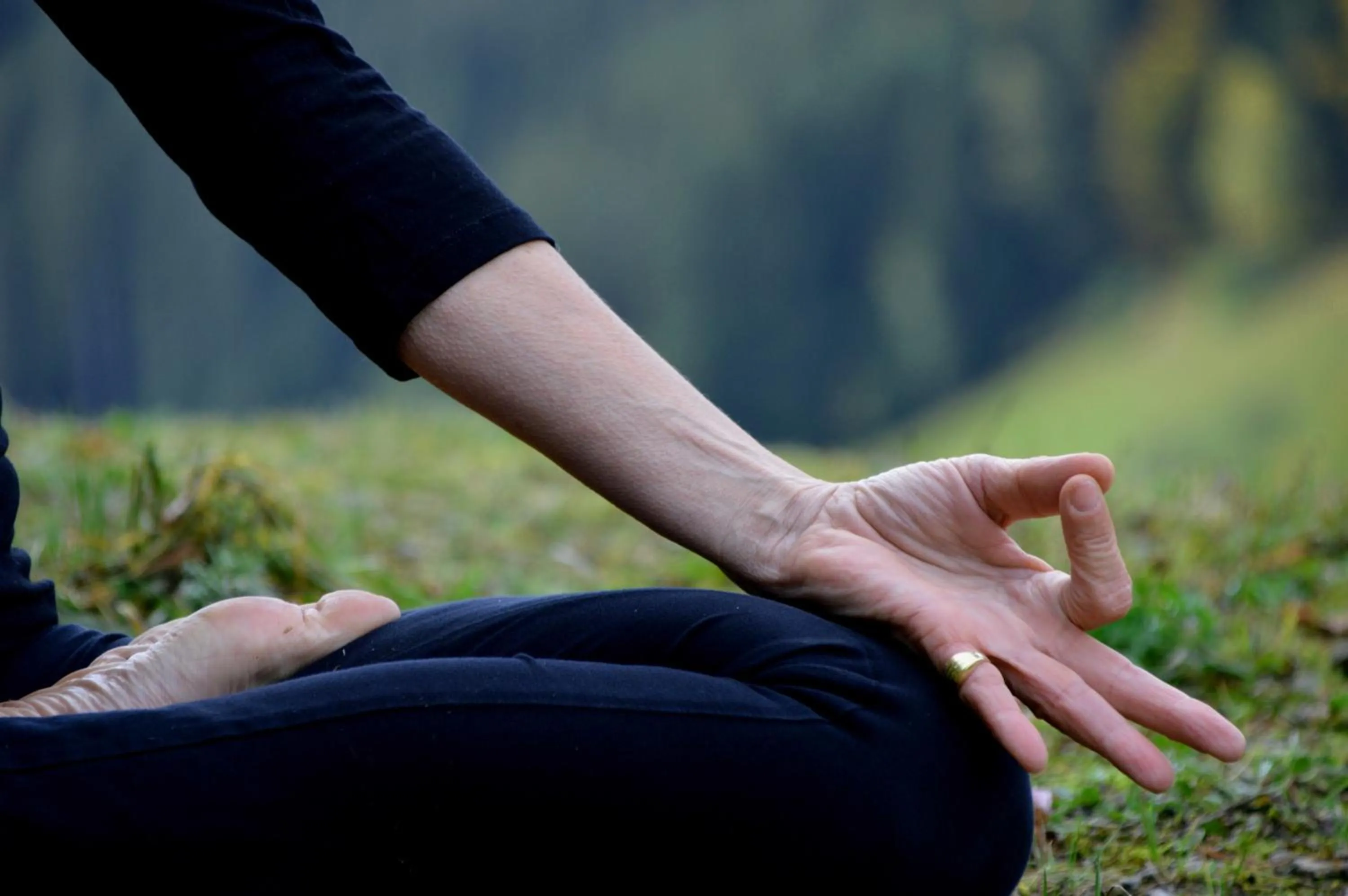 Activities in Hotel Traube Tonbach