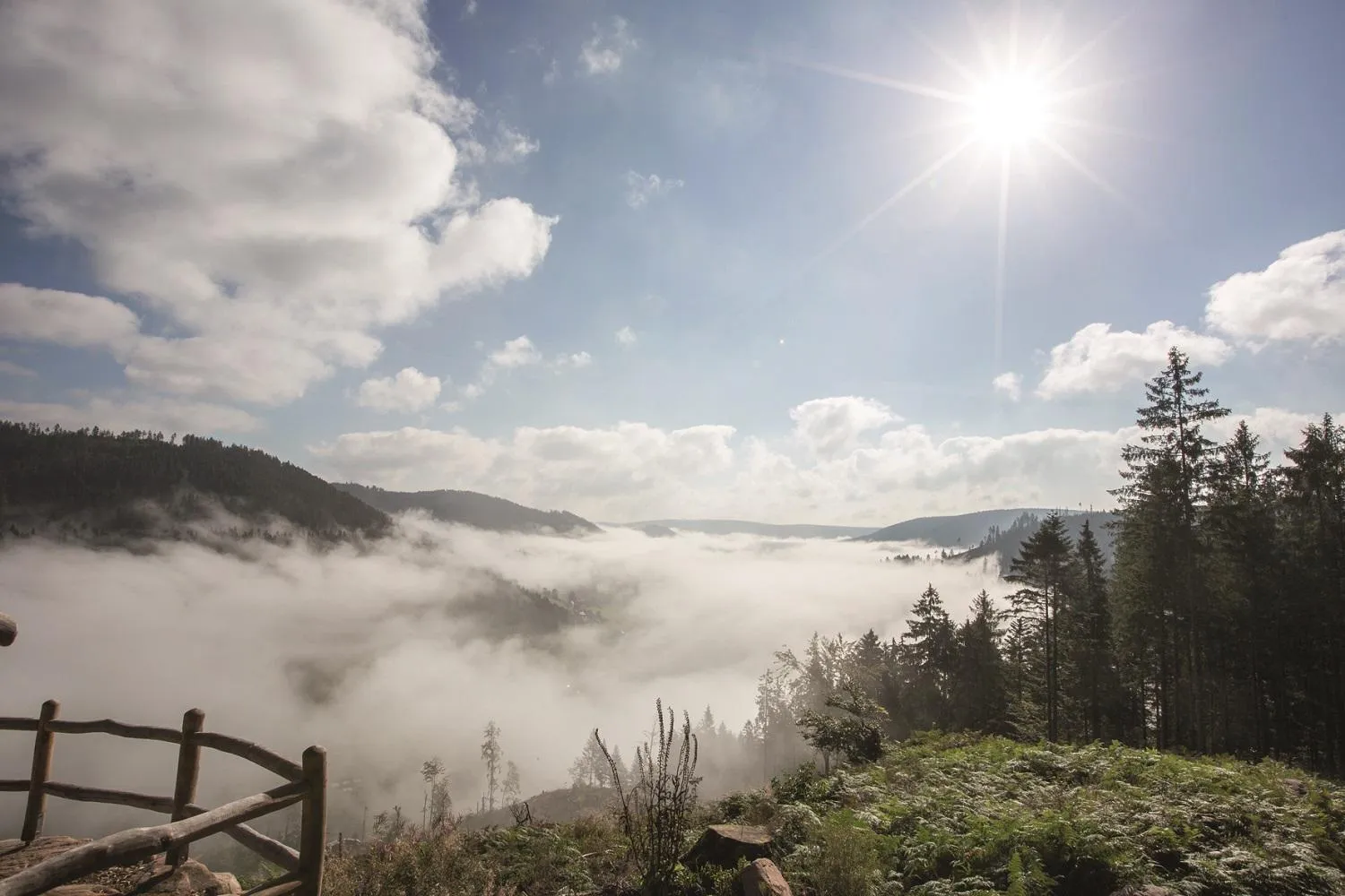 Natural landscape in Hotel Traube Tonbach