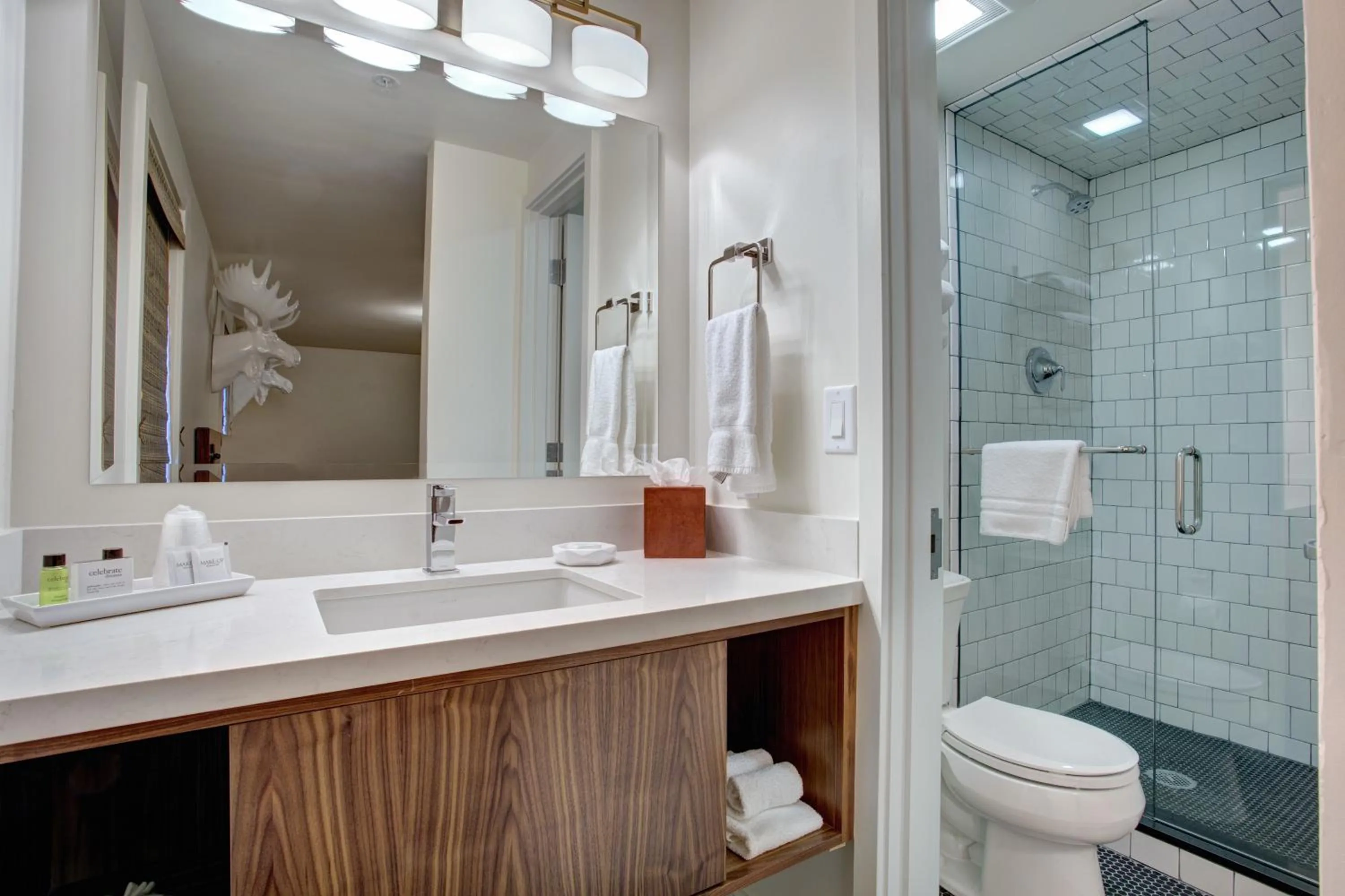 Bathroom in Hotel Durant