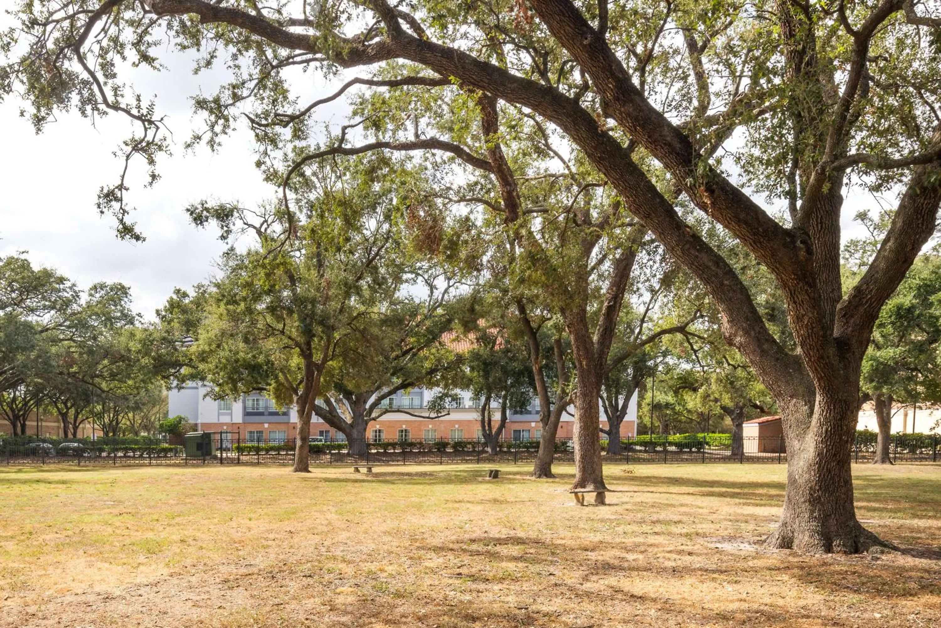 Property building in Spark by Hilton Houston West Clay Road