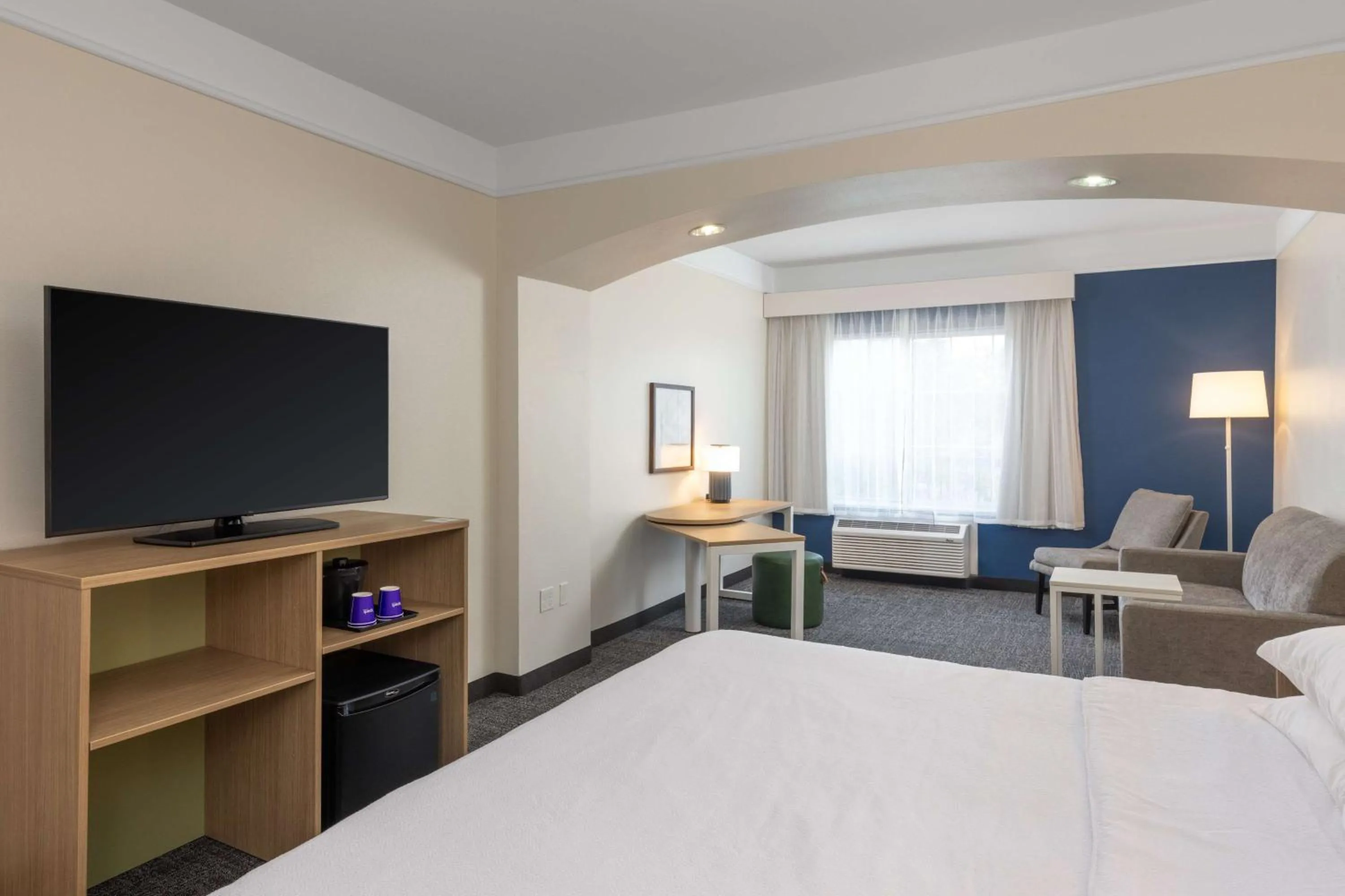 Living room, Bed in Spark by Hilton Houston West Clay Road