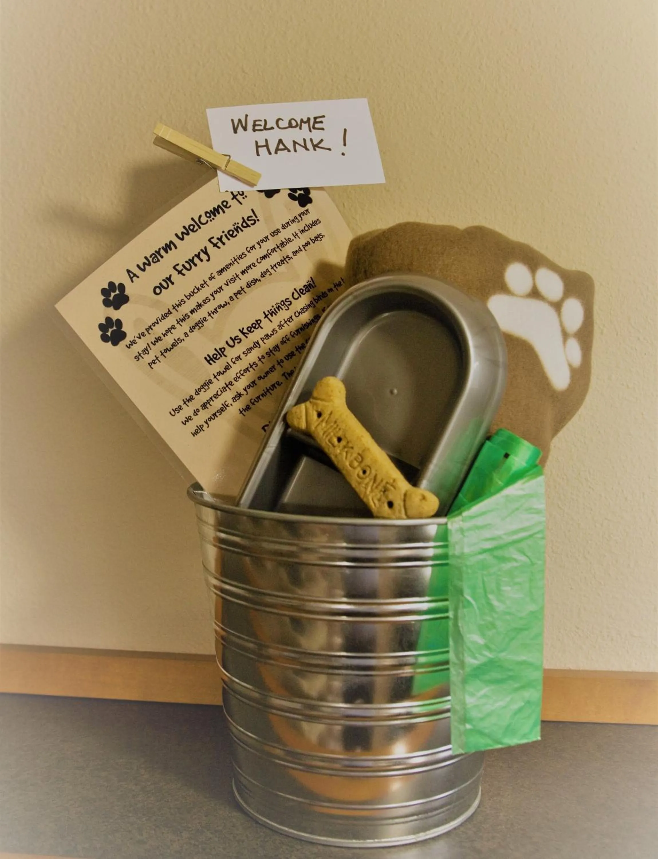 Pets in Cannon Beach Hotel Collection