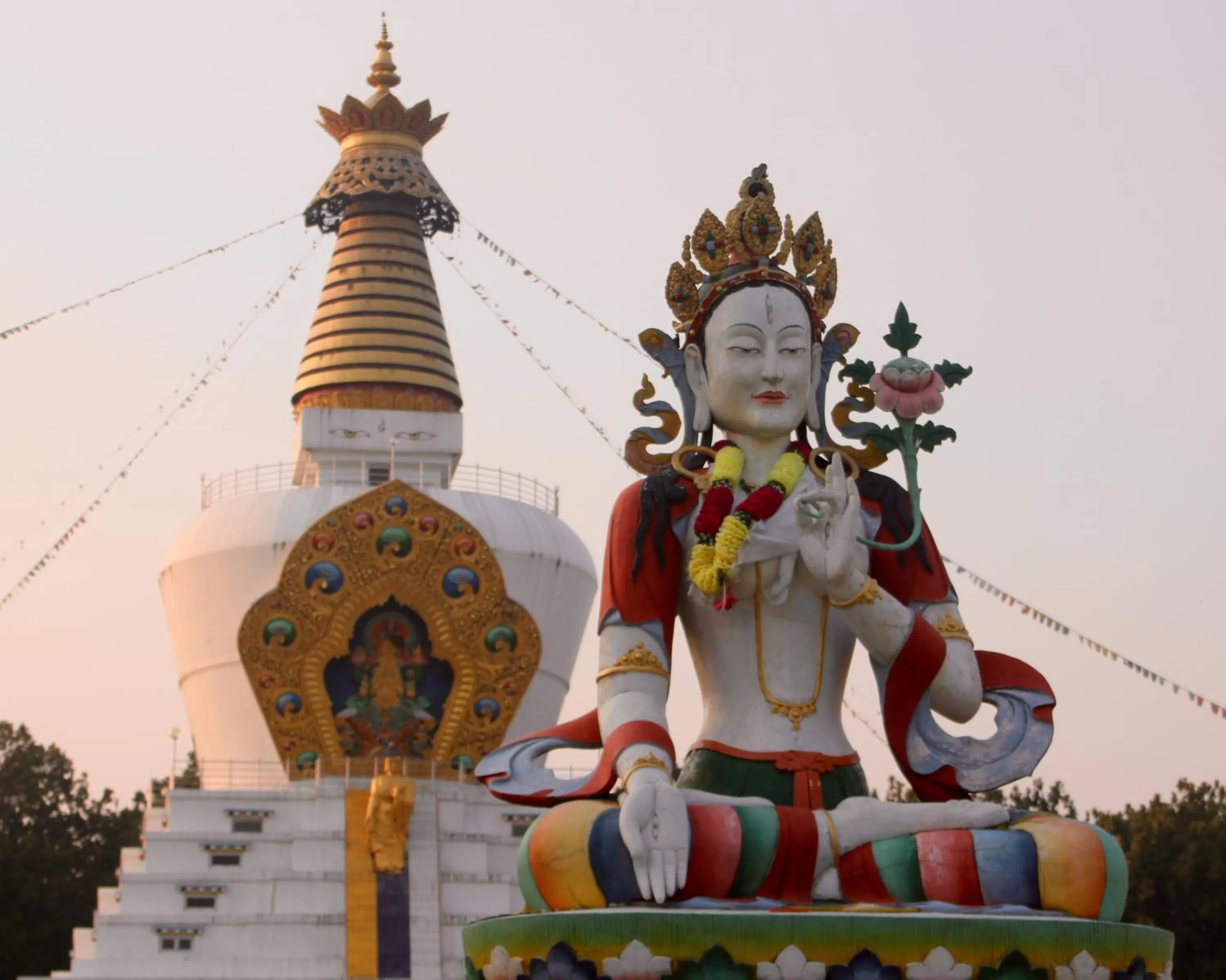 Activities in Mango Tree Courtyard Dehradun