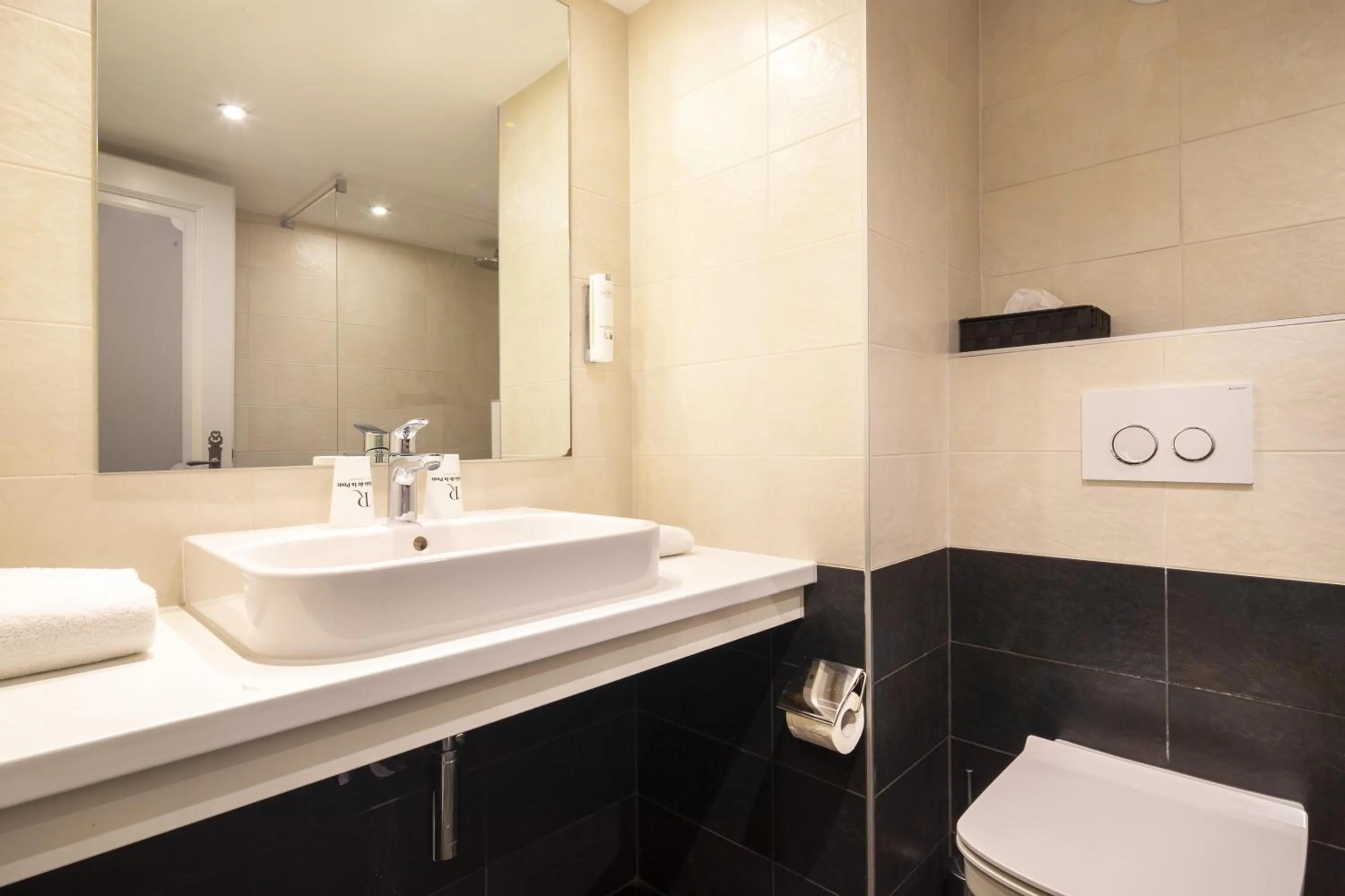 Shower in Hôtel Restaurant Relais De La Poste - Strasbourg Nord