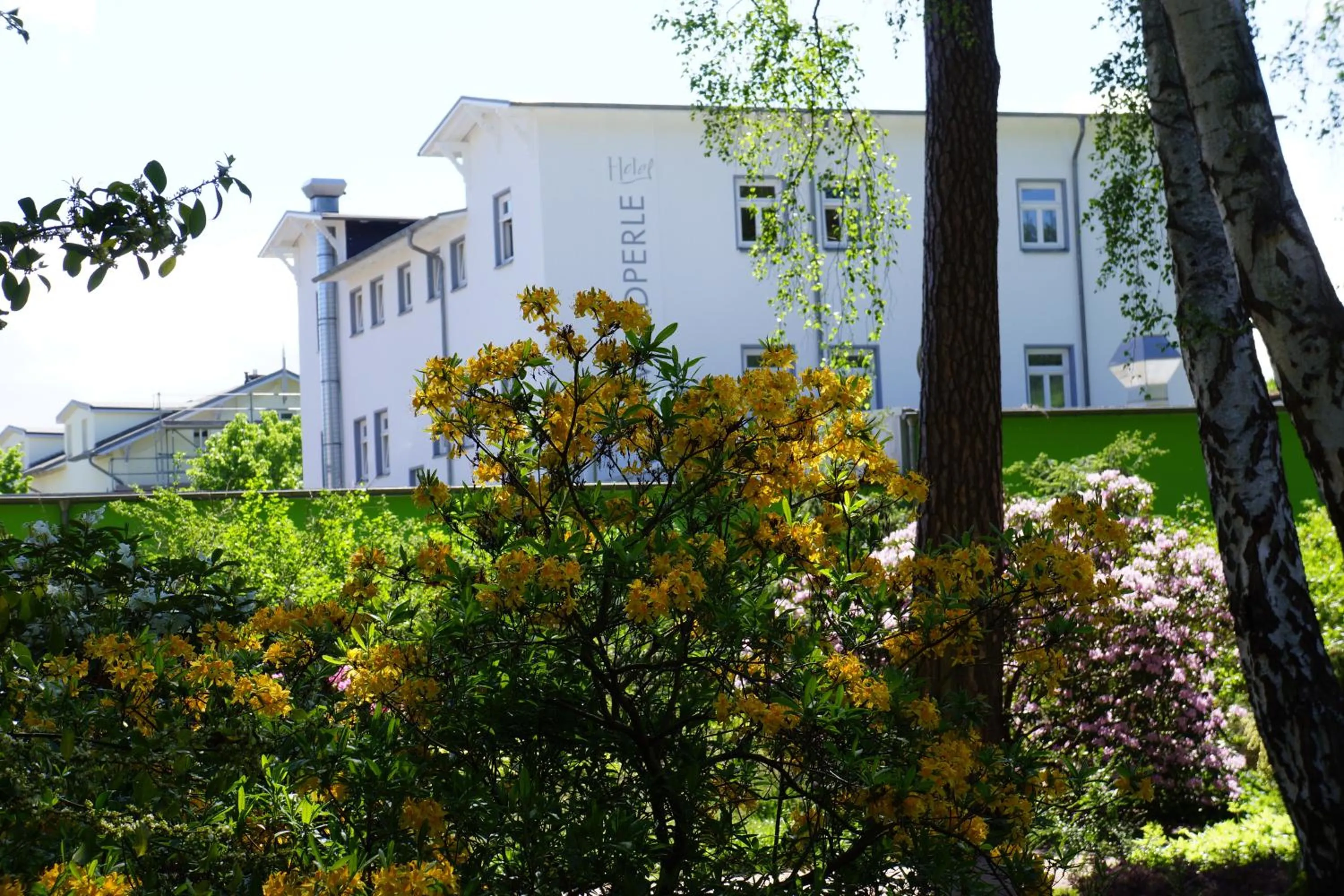 Property building in Hotel Waldperle