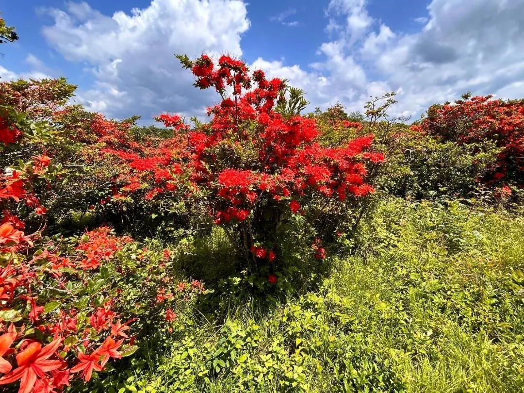 Natural landscape in Tucked Away Cabin