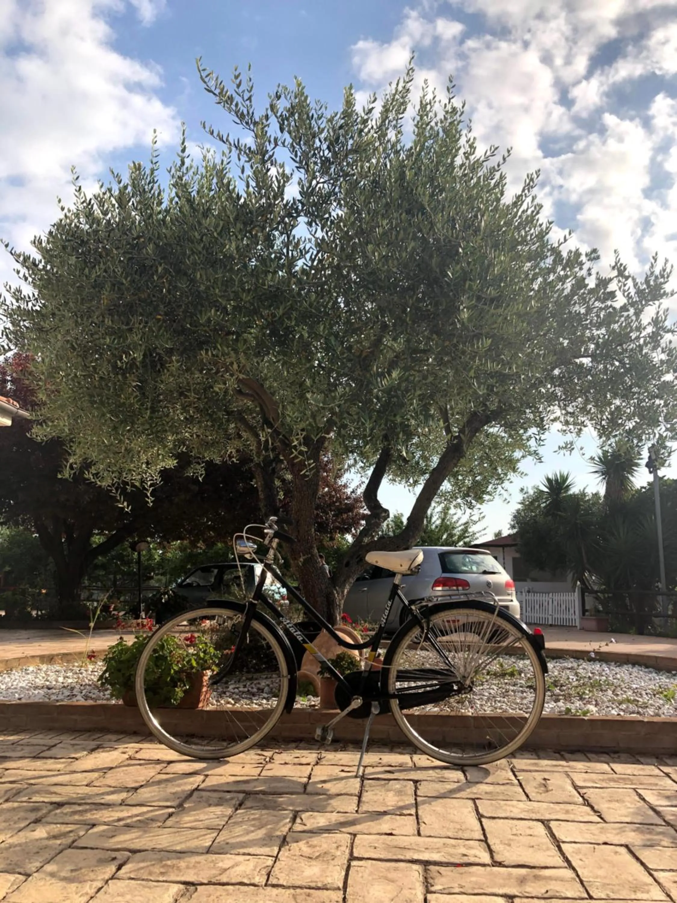 Garden in B&b Villa Eden