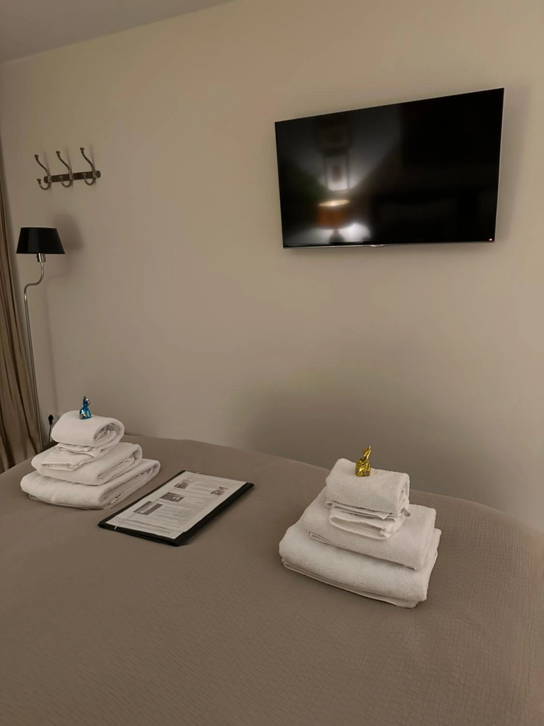 TV and multimedia in B&B Ereprijs