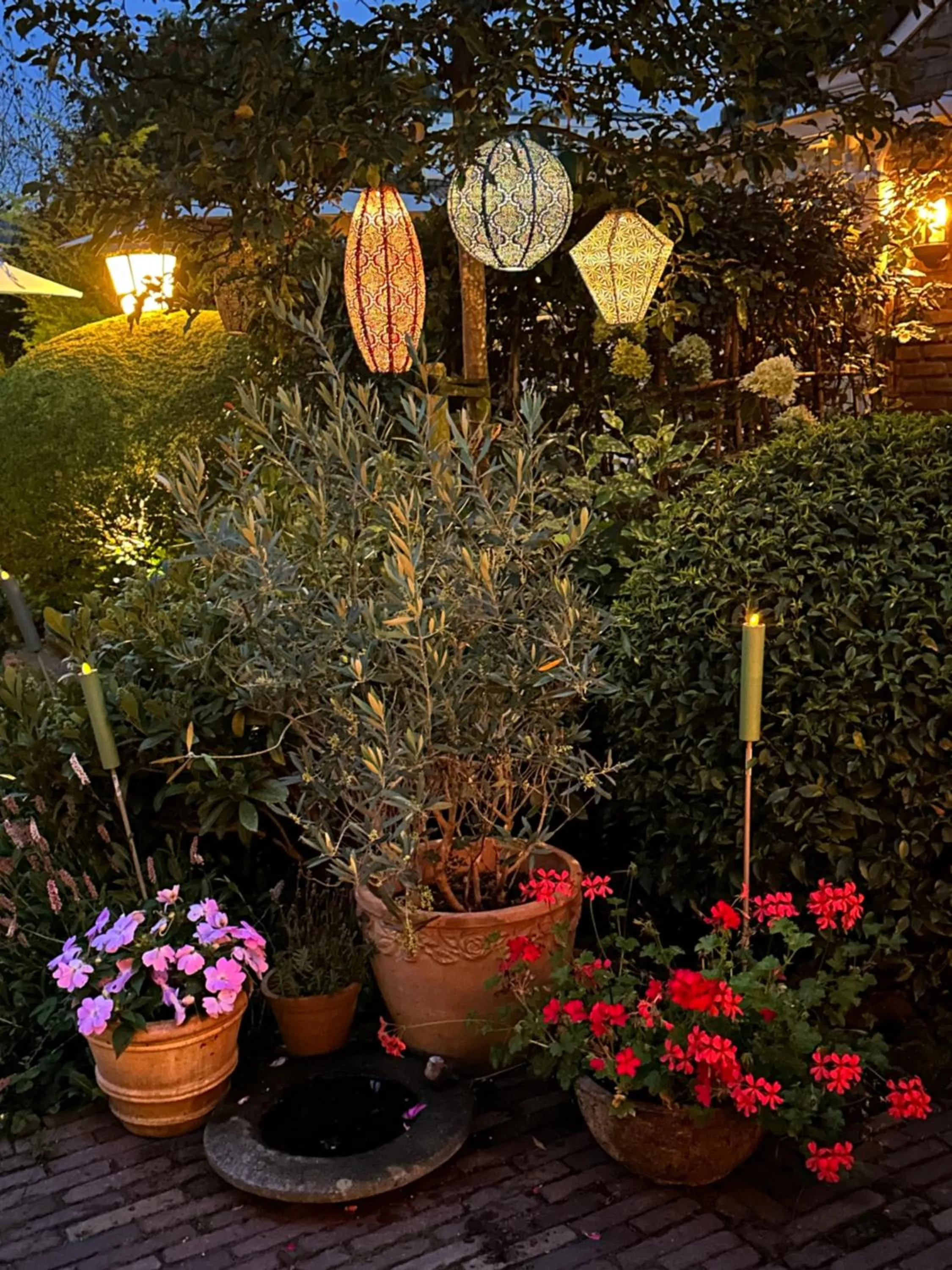 Garden in B&B Ereprijs